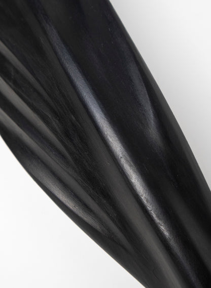 Tūī Swamp Kauri Feather 595mm