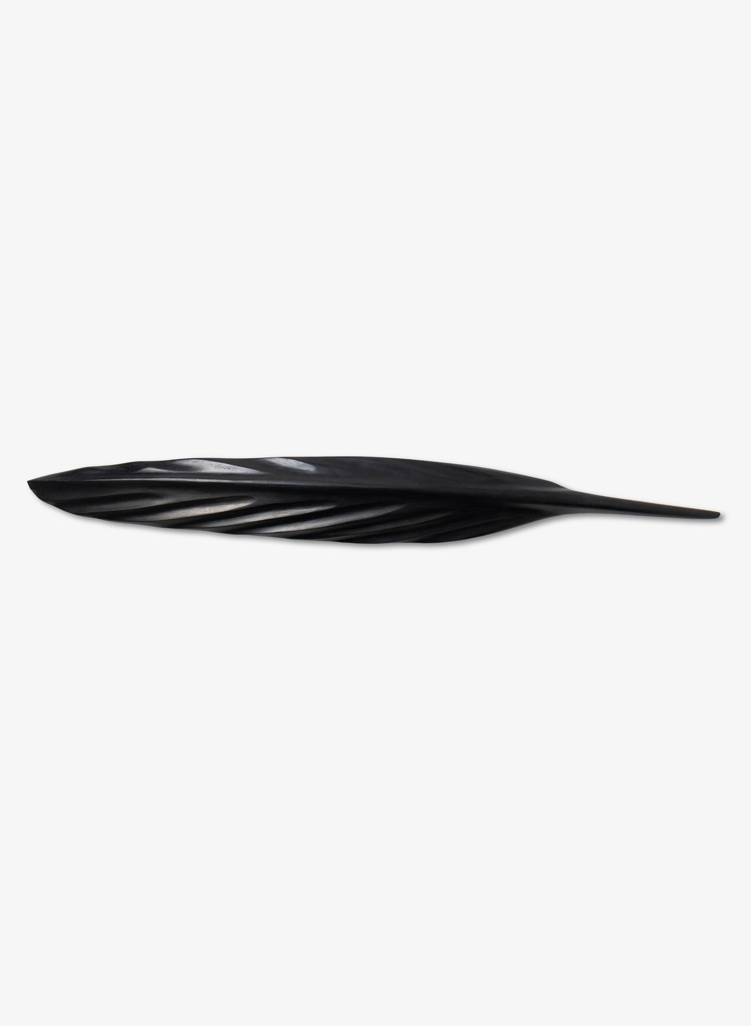 Tūī Swamp Kauri Feather 595mm