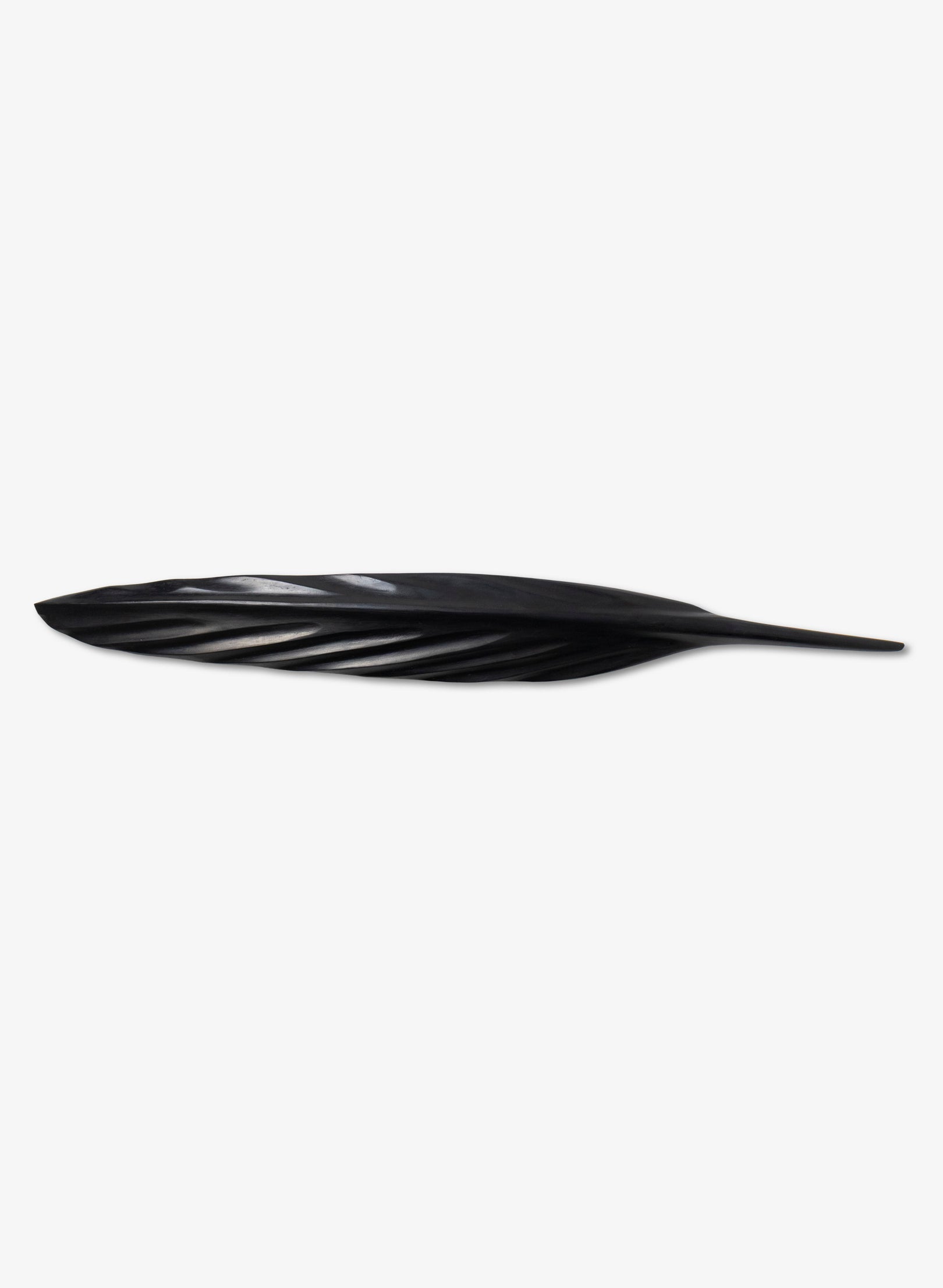 Tūī Swamp Kauri Feather 595mm