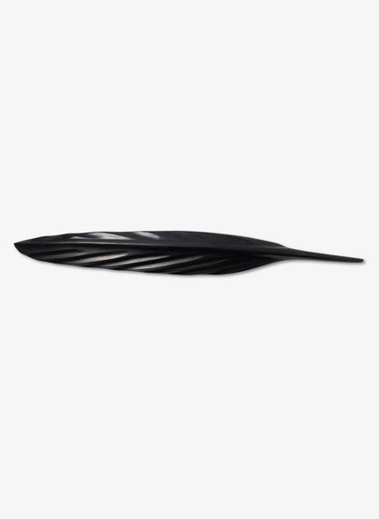 Tūī Swamp Kauri Feather 595mm