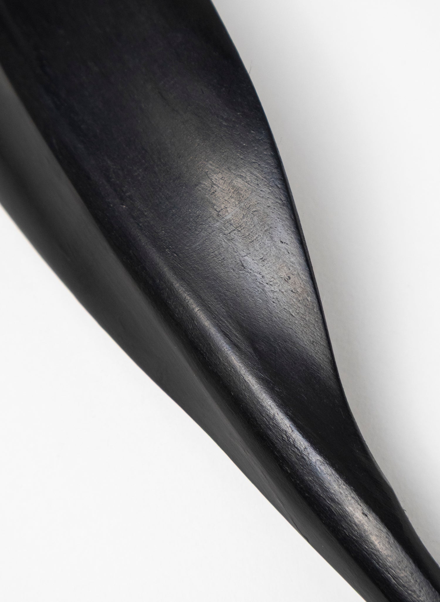 Tūī Swamp Kauri Feather 455mm