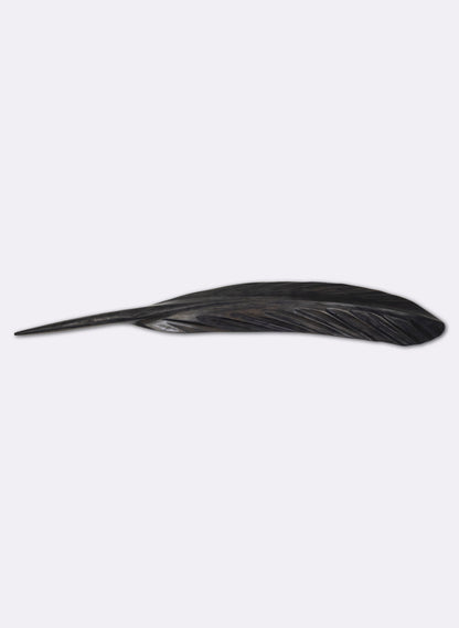 Kahu Swamp Kauri Feather 630mm