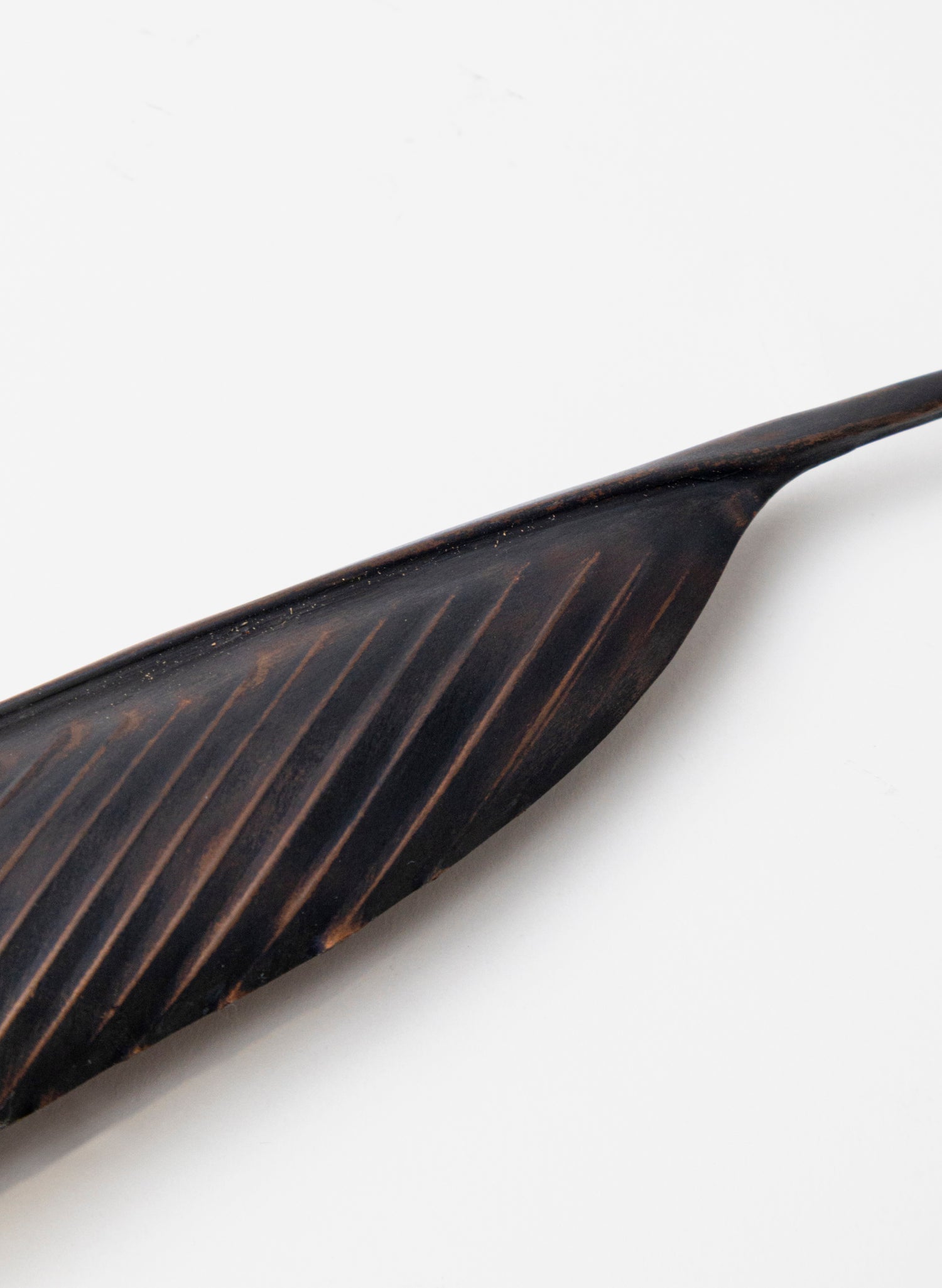Tūī Copper Feather 395mm
