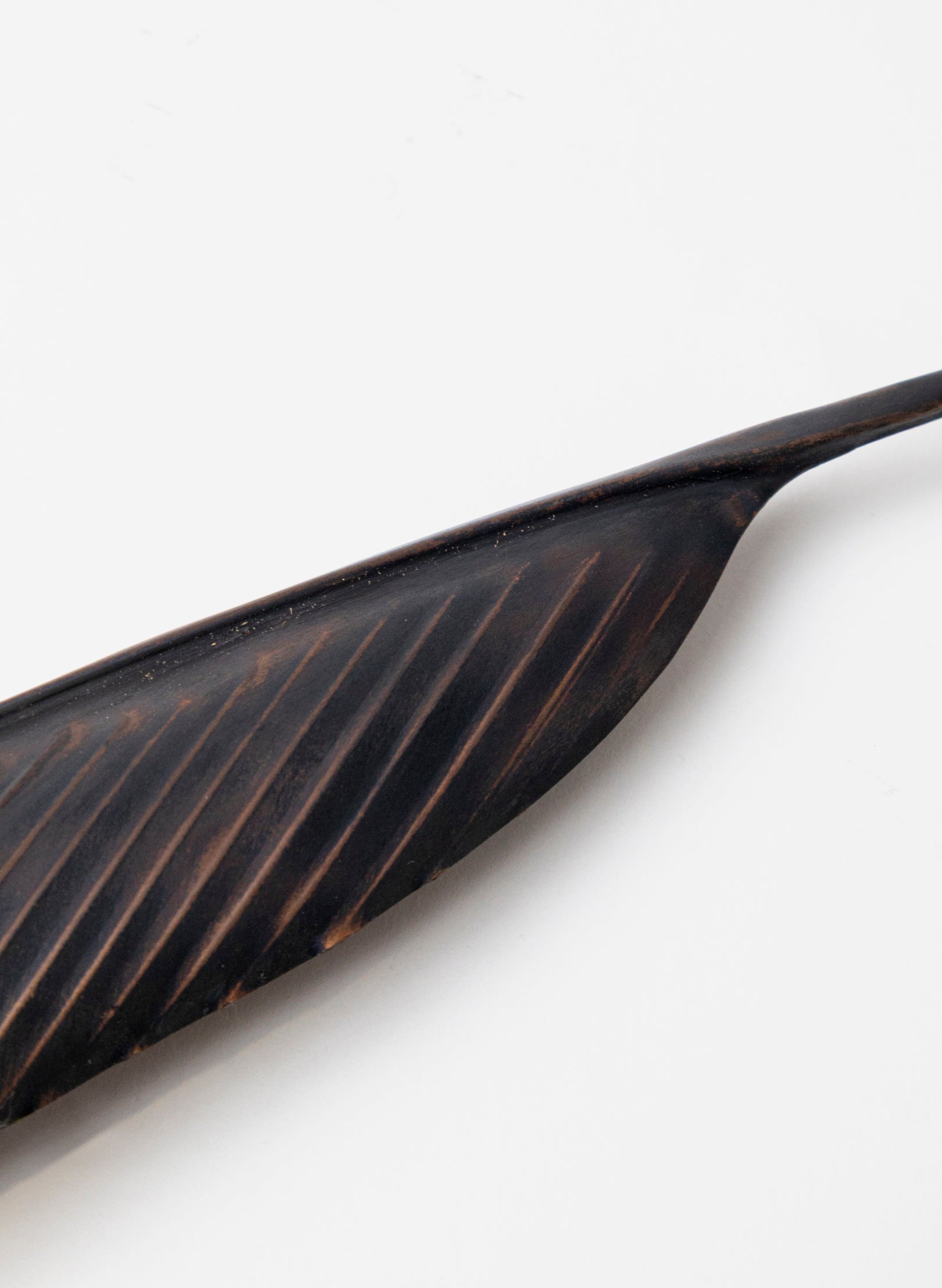 Tūī Copper Feather 395mm