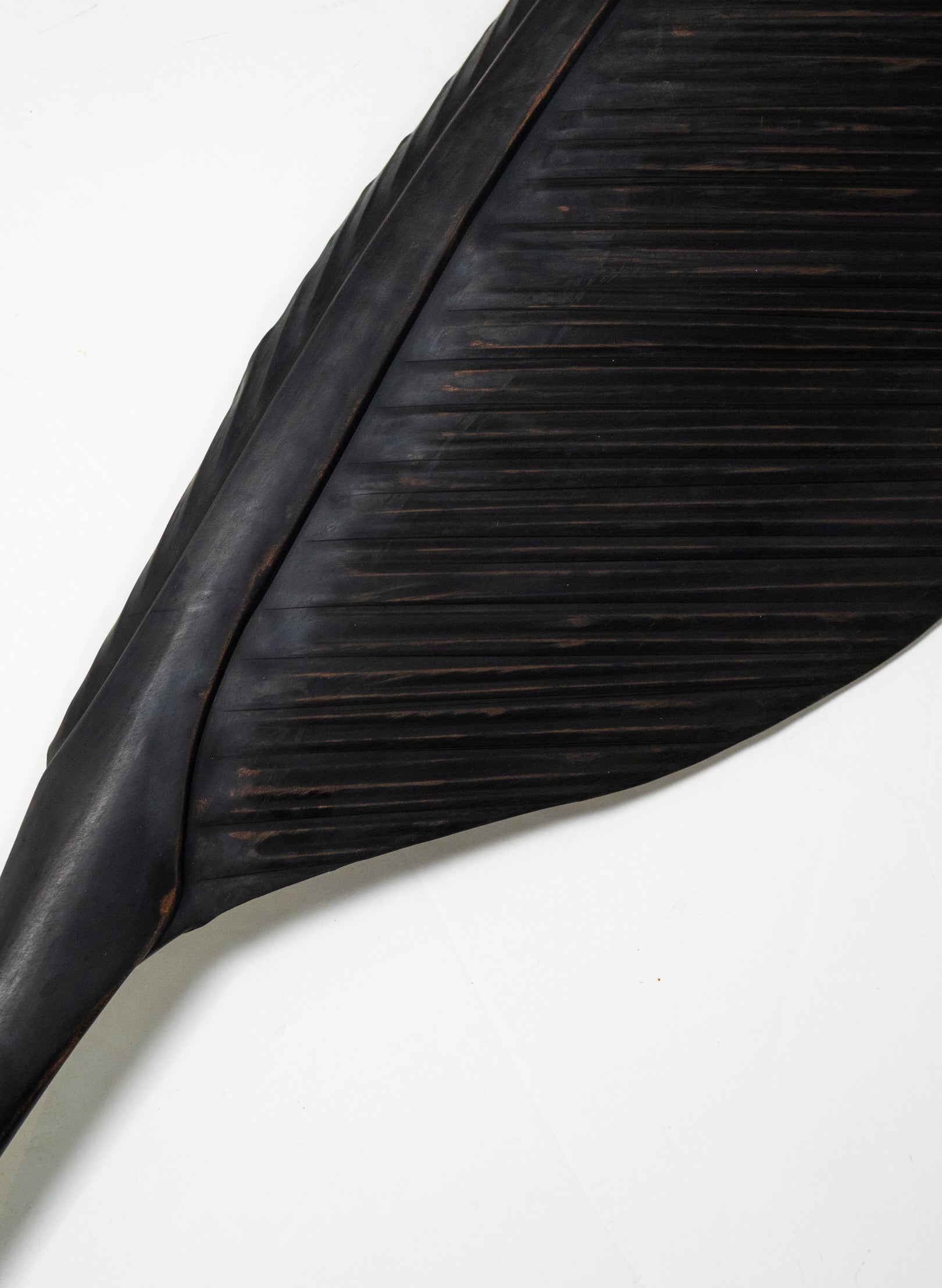 Tūī Feather Copper 1250mm