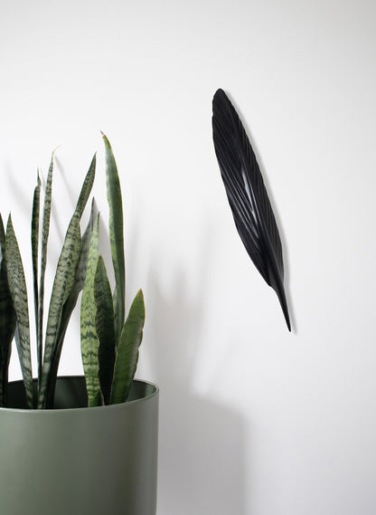 Tūī Swamp Kauri Feather 410mm