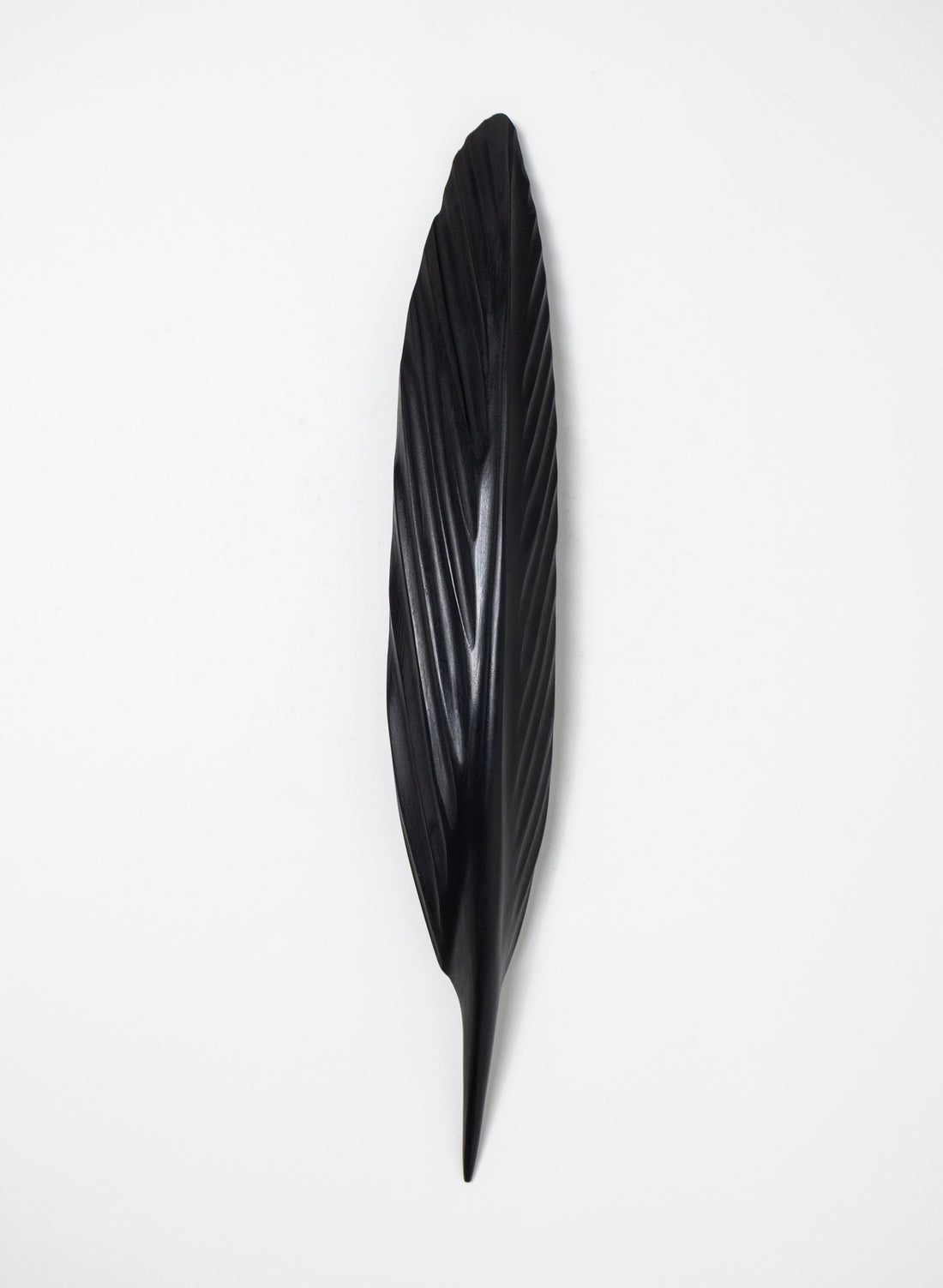Tūī Swamp Kauri Feather 410mm