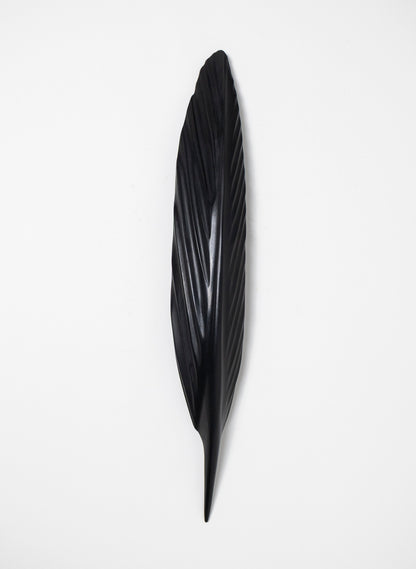 Tūī Swamp Kauri Feather 410mm