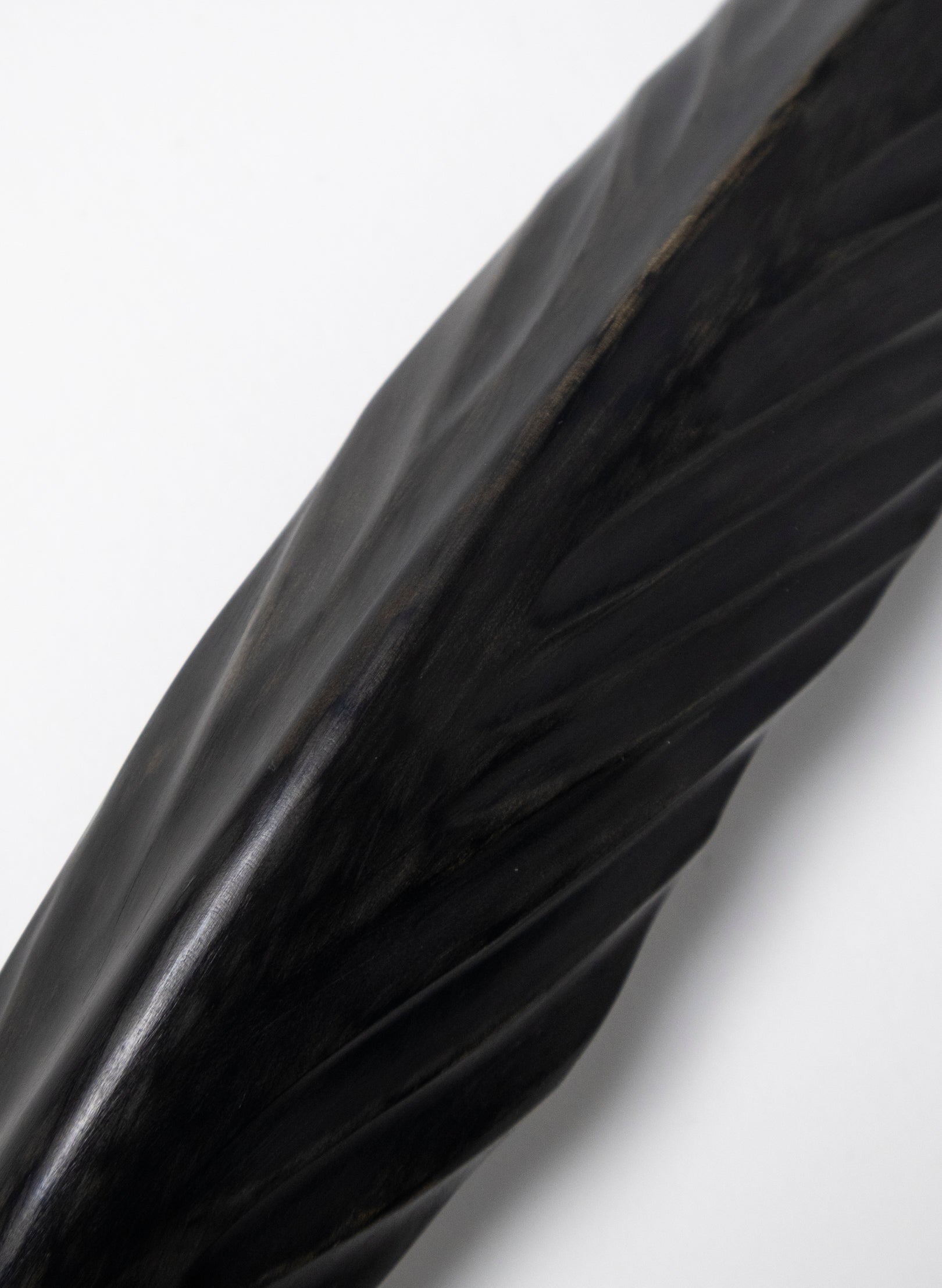 Tūī Swamp Kauri Feather 335mm