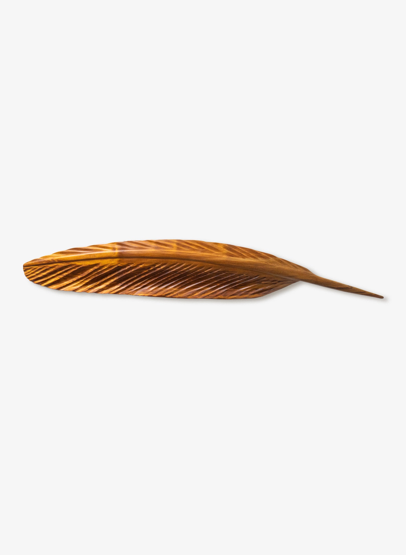 Kārearea Swamp Kauri 1380mm