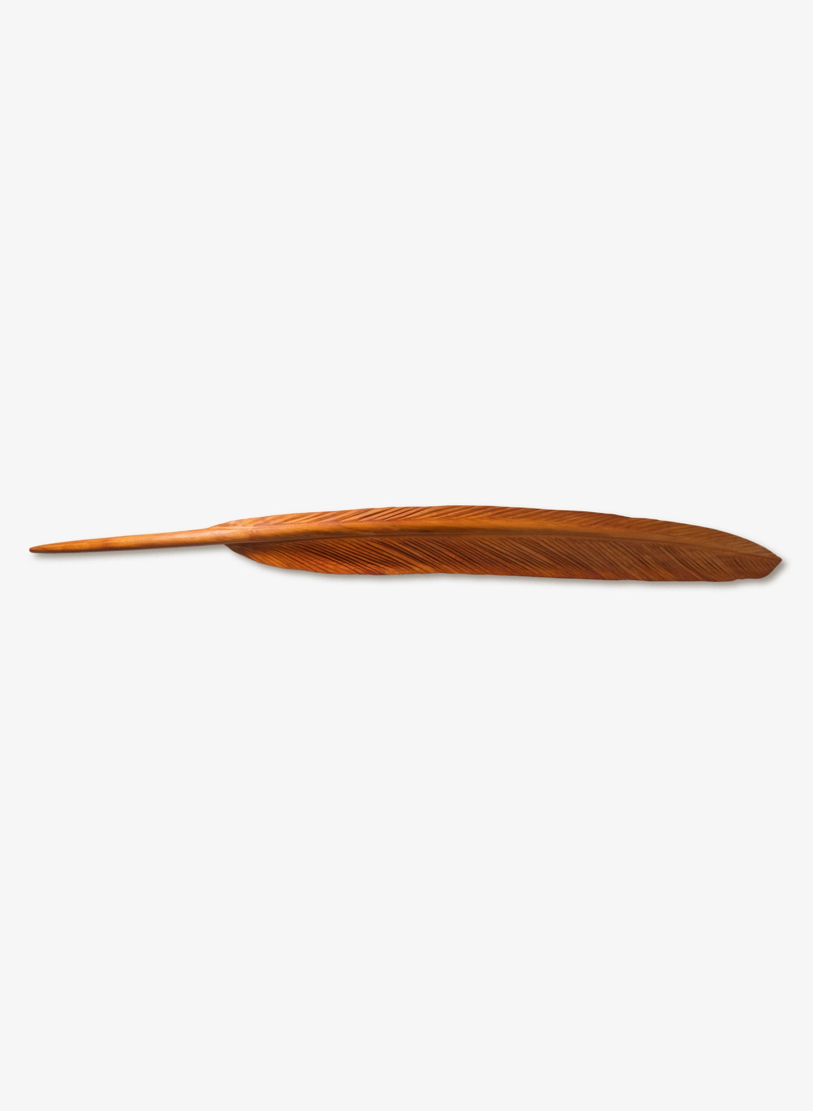 Kāhu Mātai Feather 3030mm