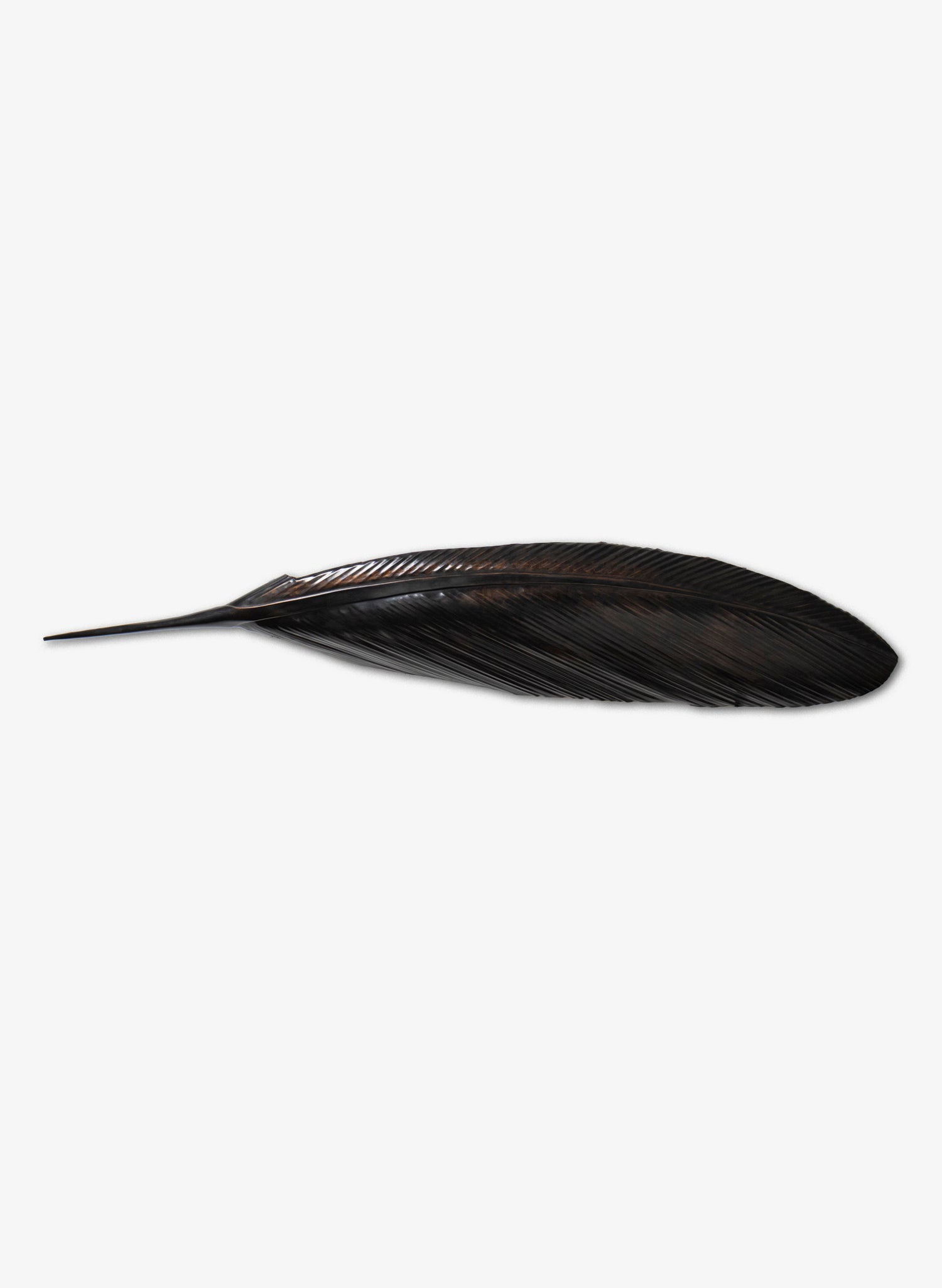 Tūī Copper Feather 1370mm