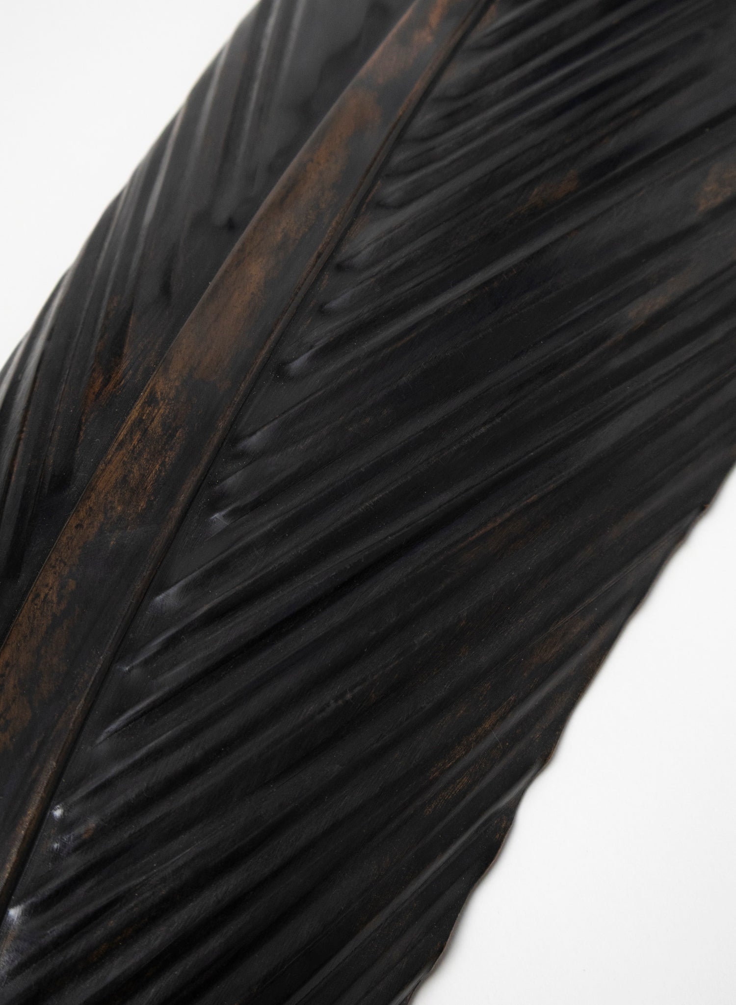 Tūī Copper Feather 1370mm