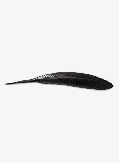 Tūī Copper Feather 1370mm