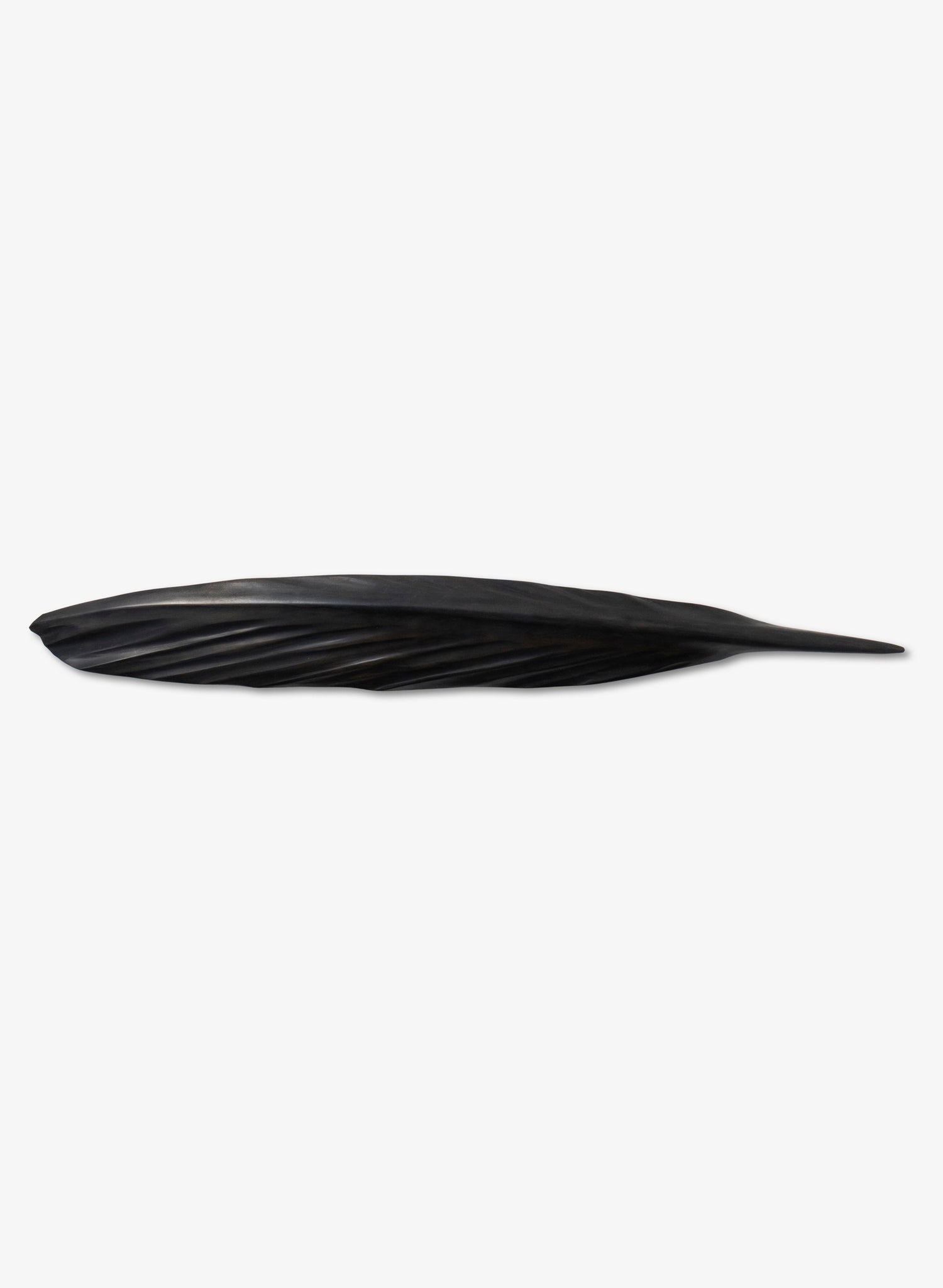 Tūī Swamp Kauri Feather 610mm