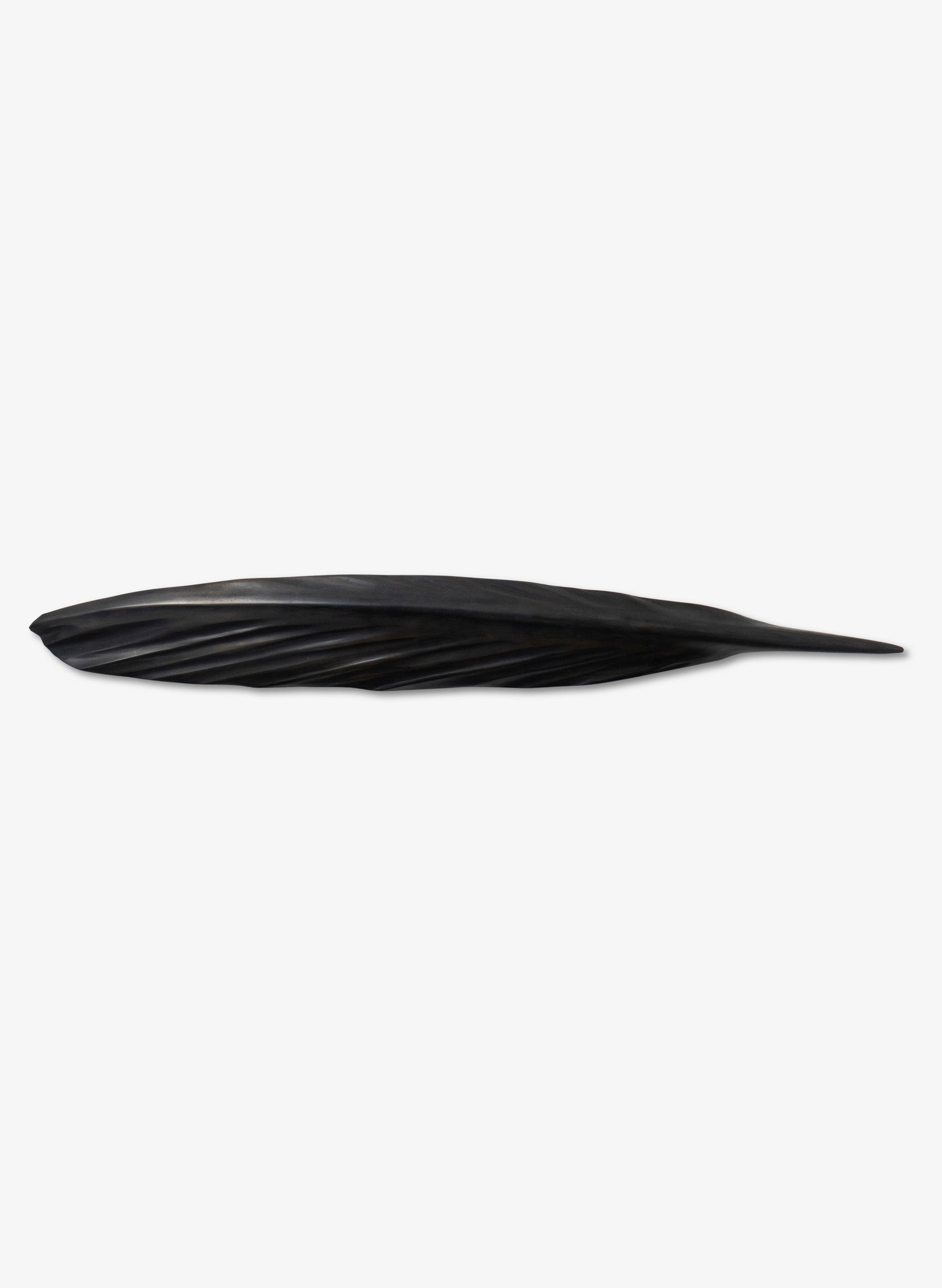 Tūī Swamp Kauri Feather 610mm