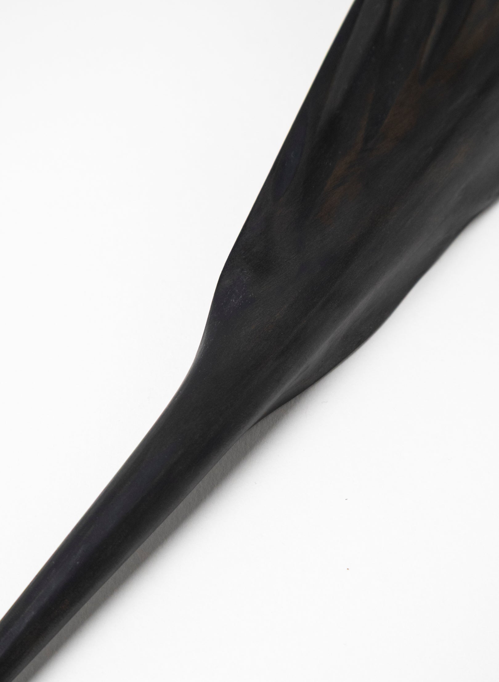Tūī Swamp Kauri Feather 610mm