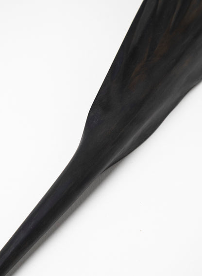 Tūī Swamp Kauri Feather 610mm