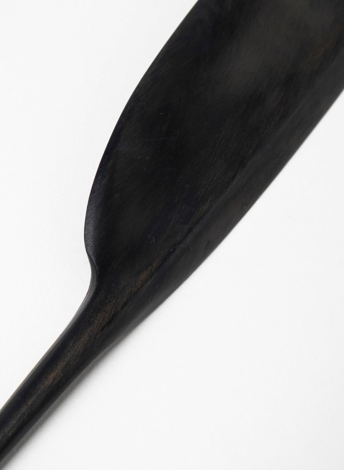 Tūī Swamp Kauri Feather 350mm