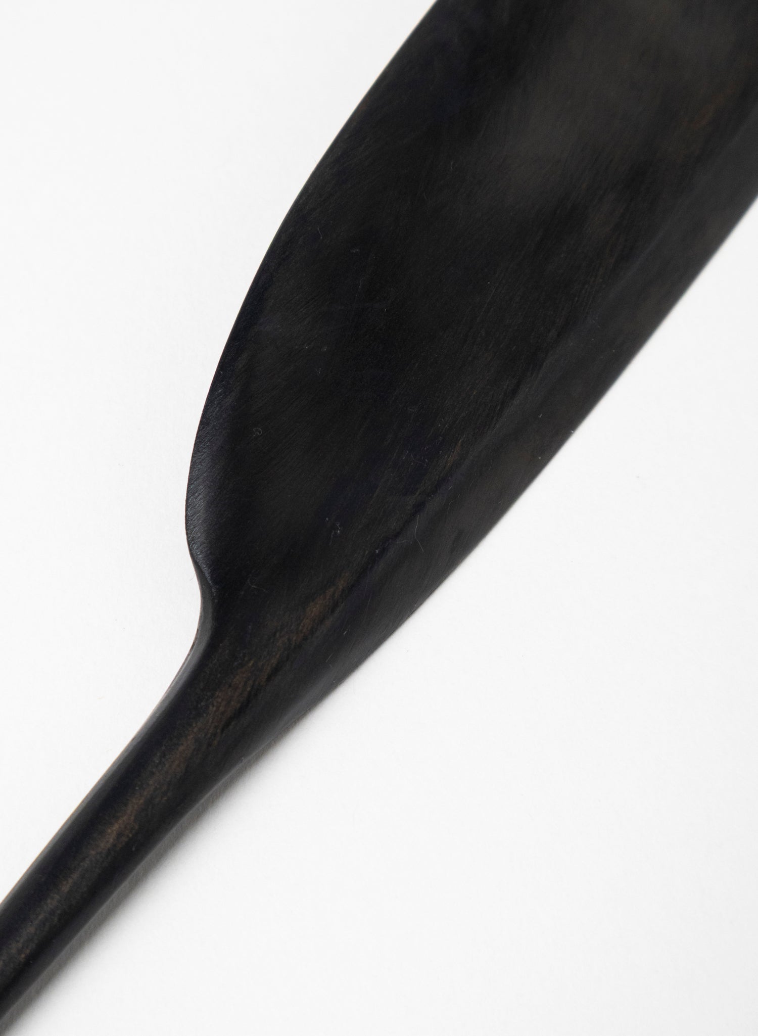Tūī Swamp Kauri Feather 350mm