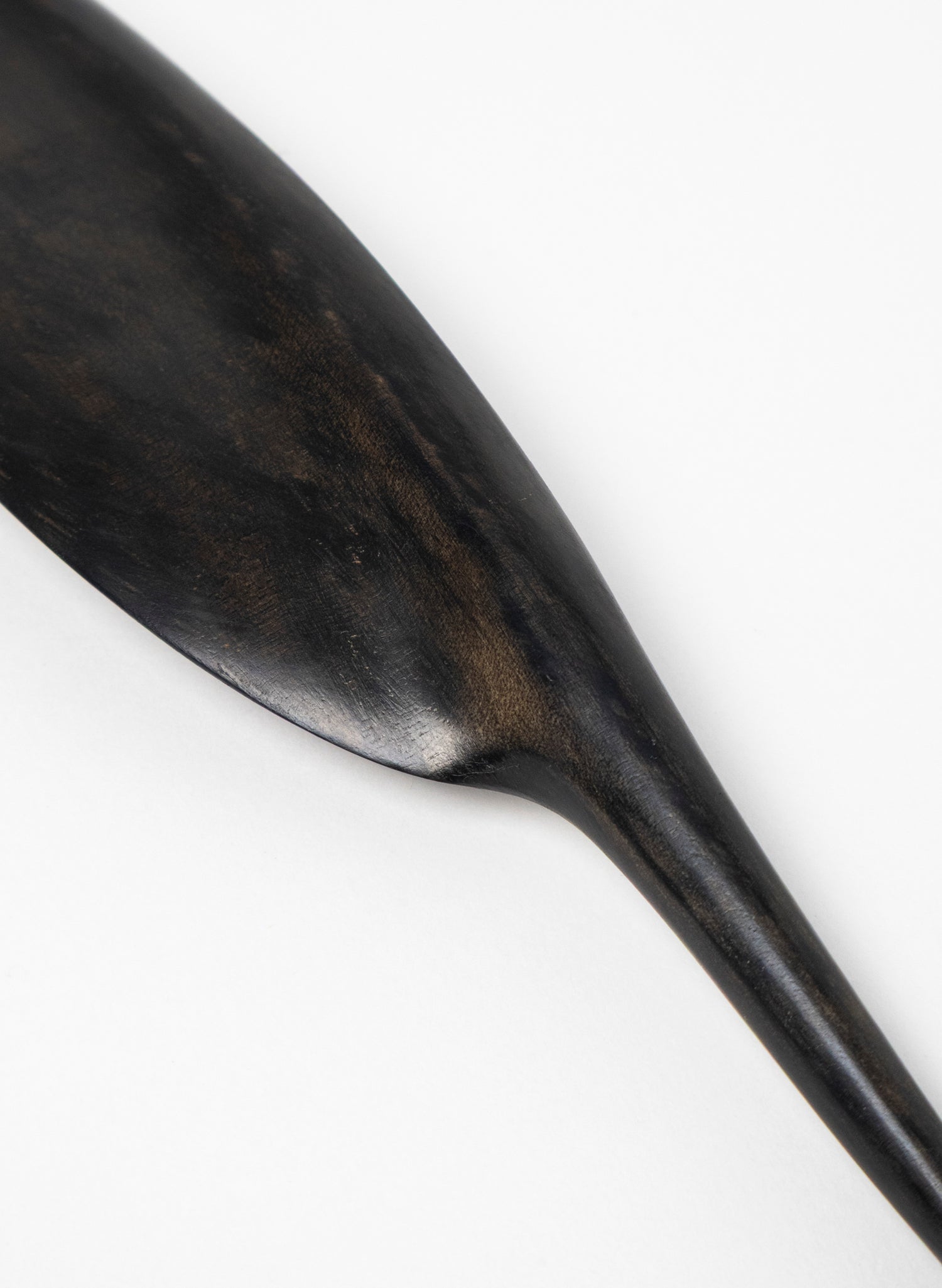 Tūī Swamp Kauri Feather 364mm