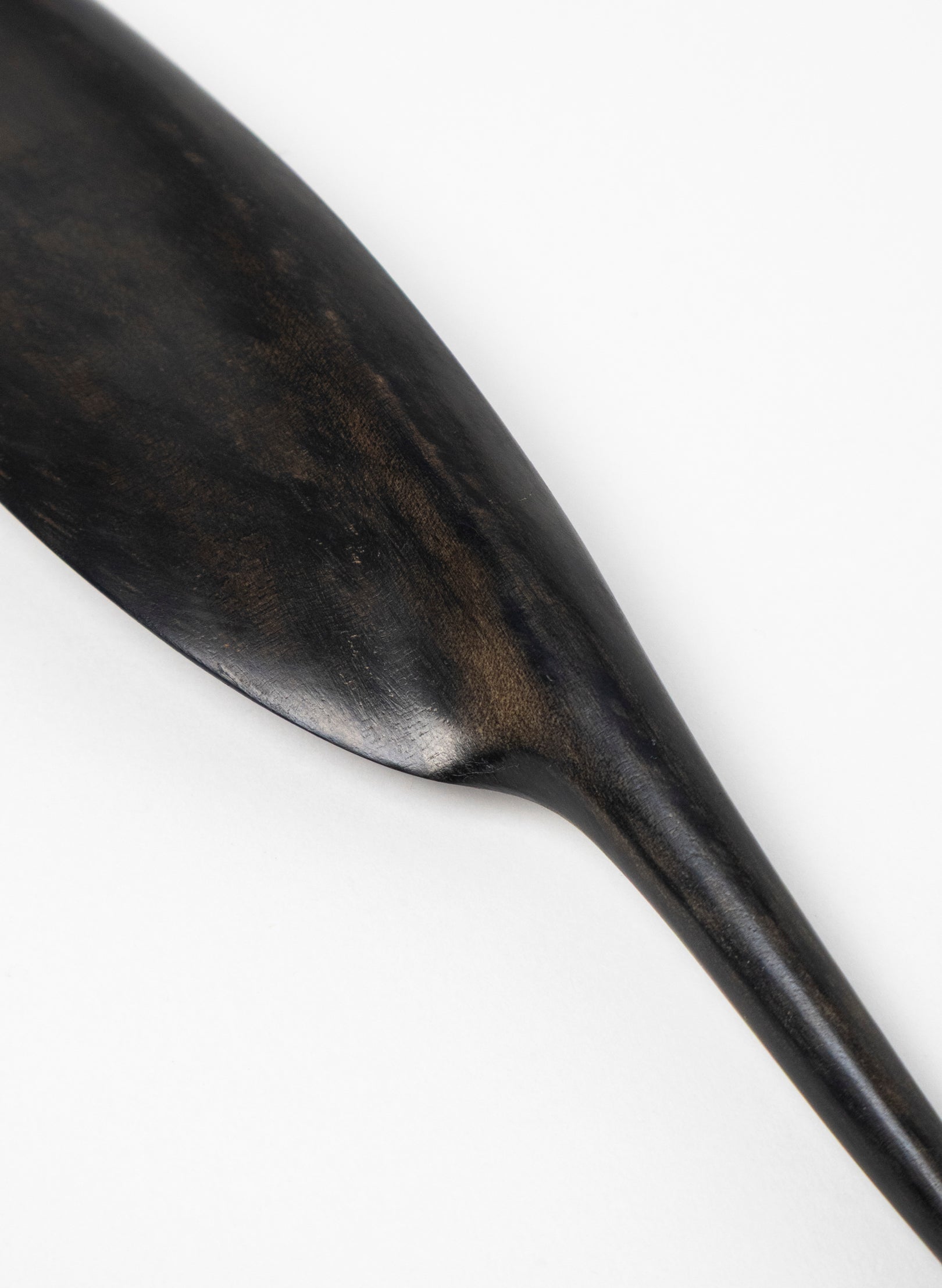 Tūī Swamp Kauri Feather 364mm