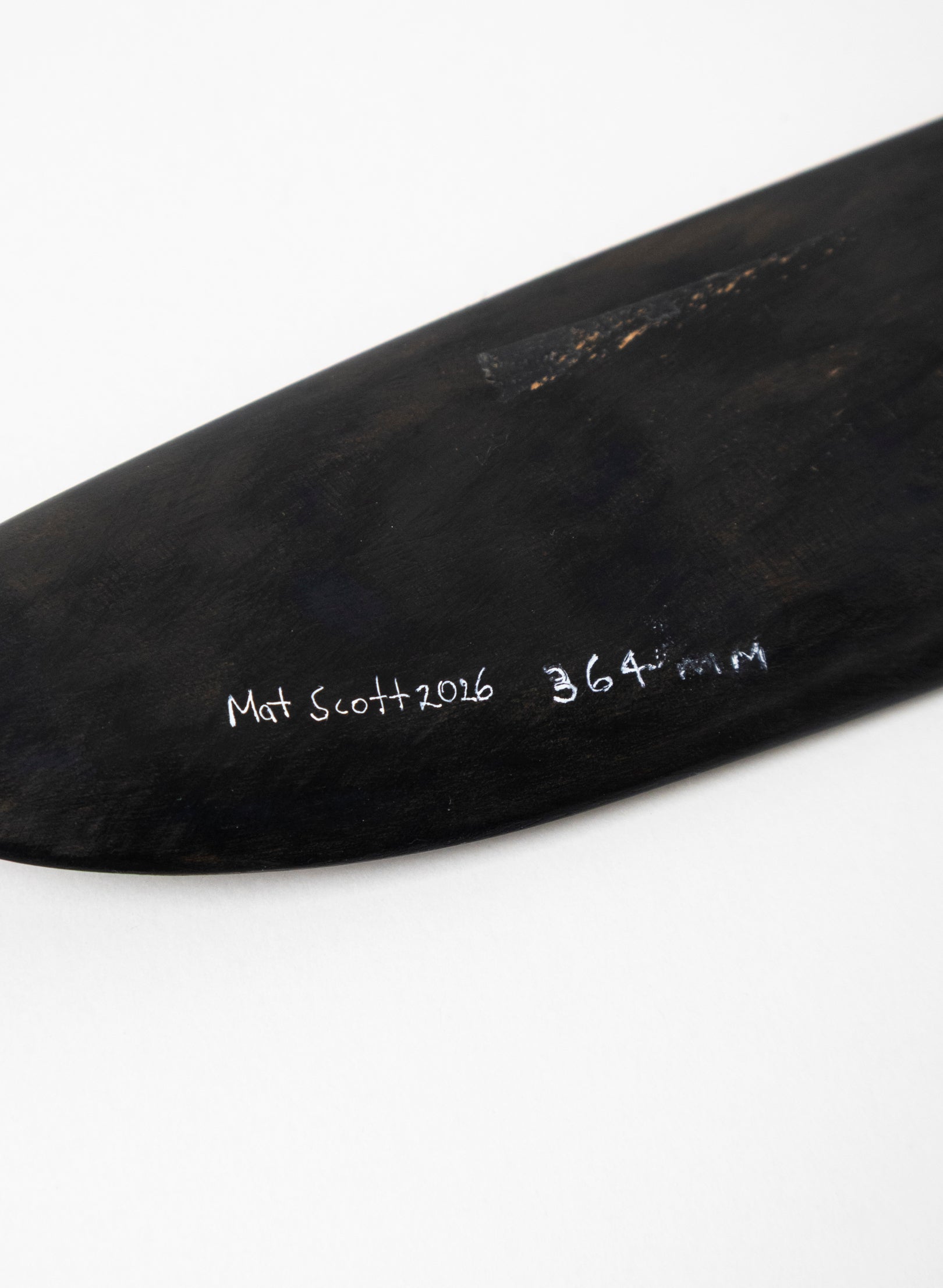 Tūī Swamp Kauri Feather 364mm