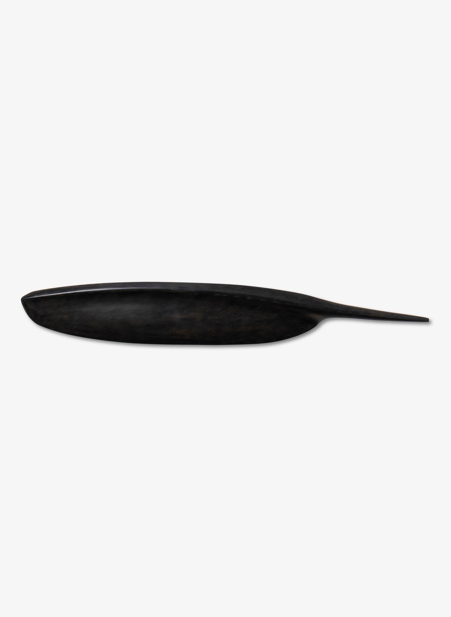 Tūī Swamp Kauri Feather 364mm