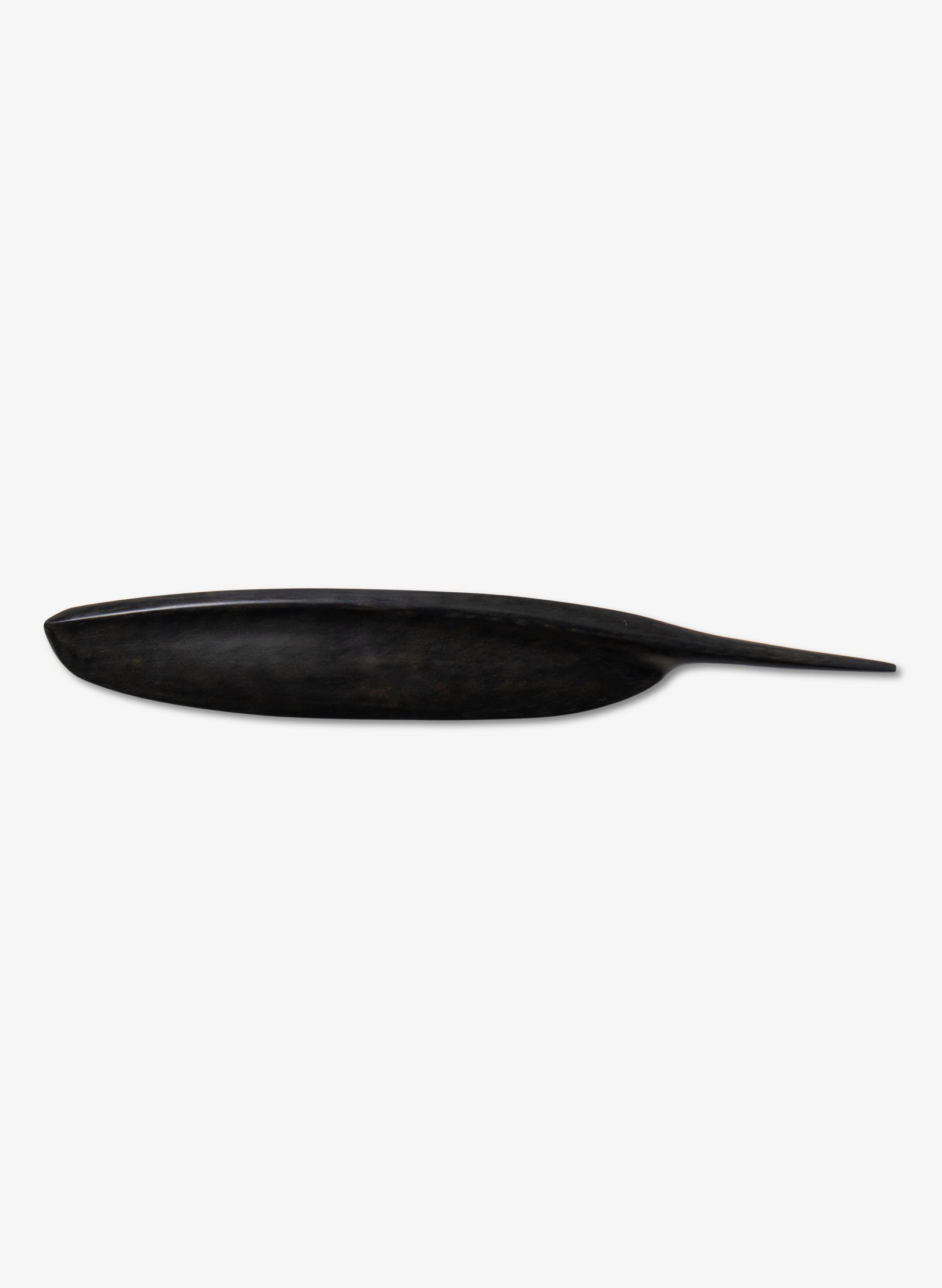 Tūī Swamp Kauri Feather 364mm