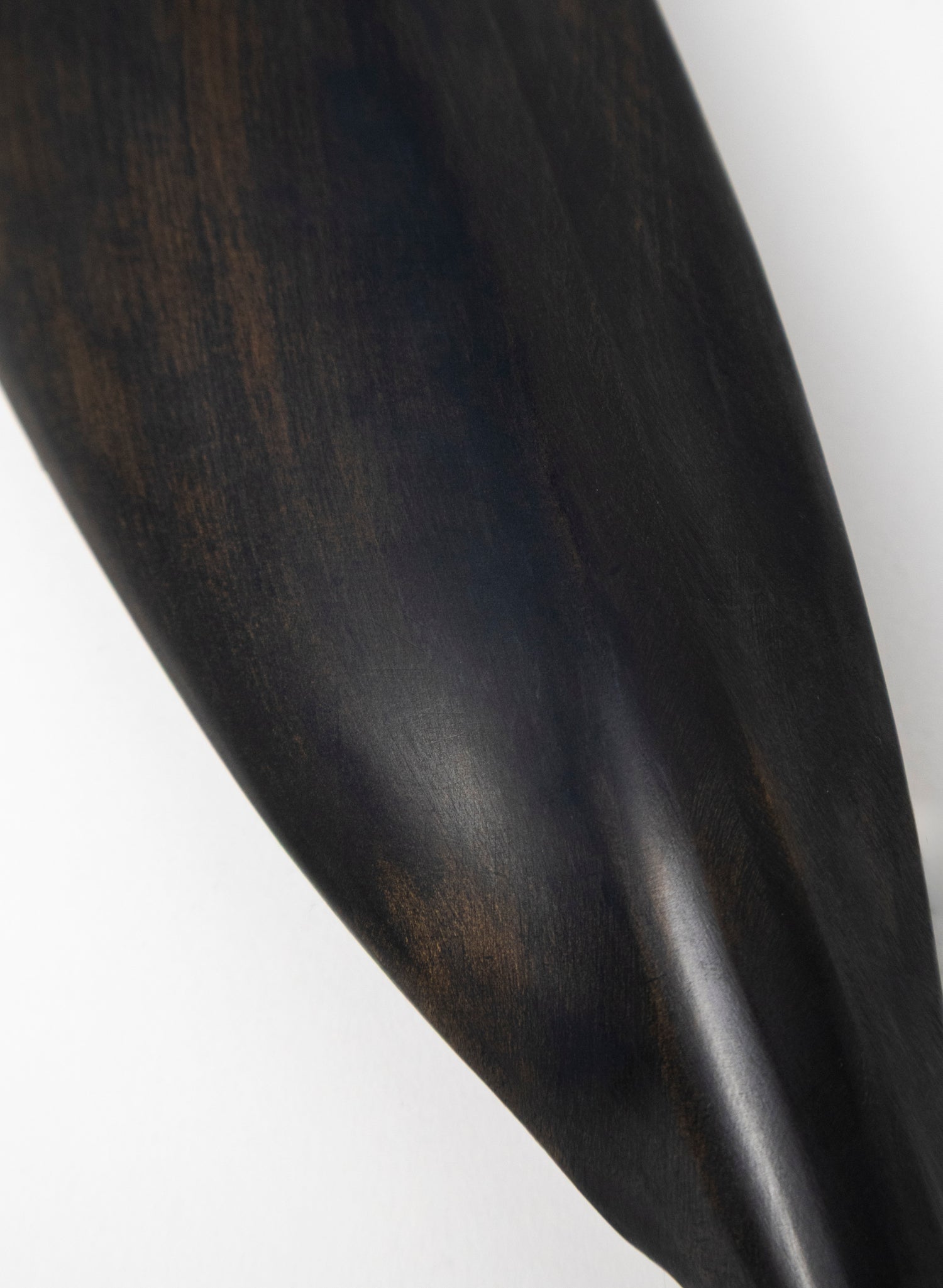 Tūī Swamp Kauri Feather 515mm