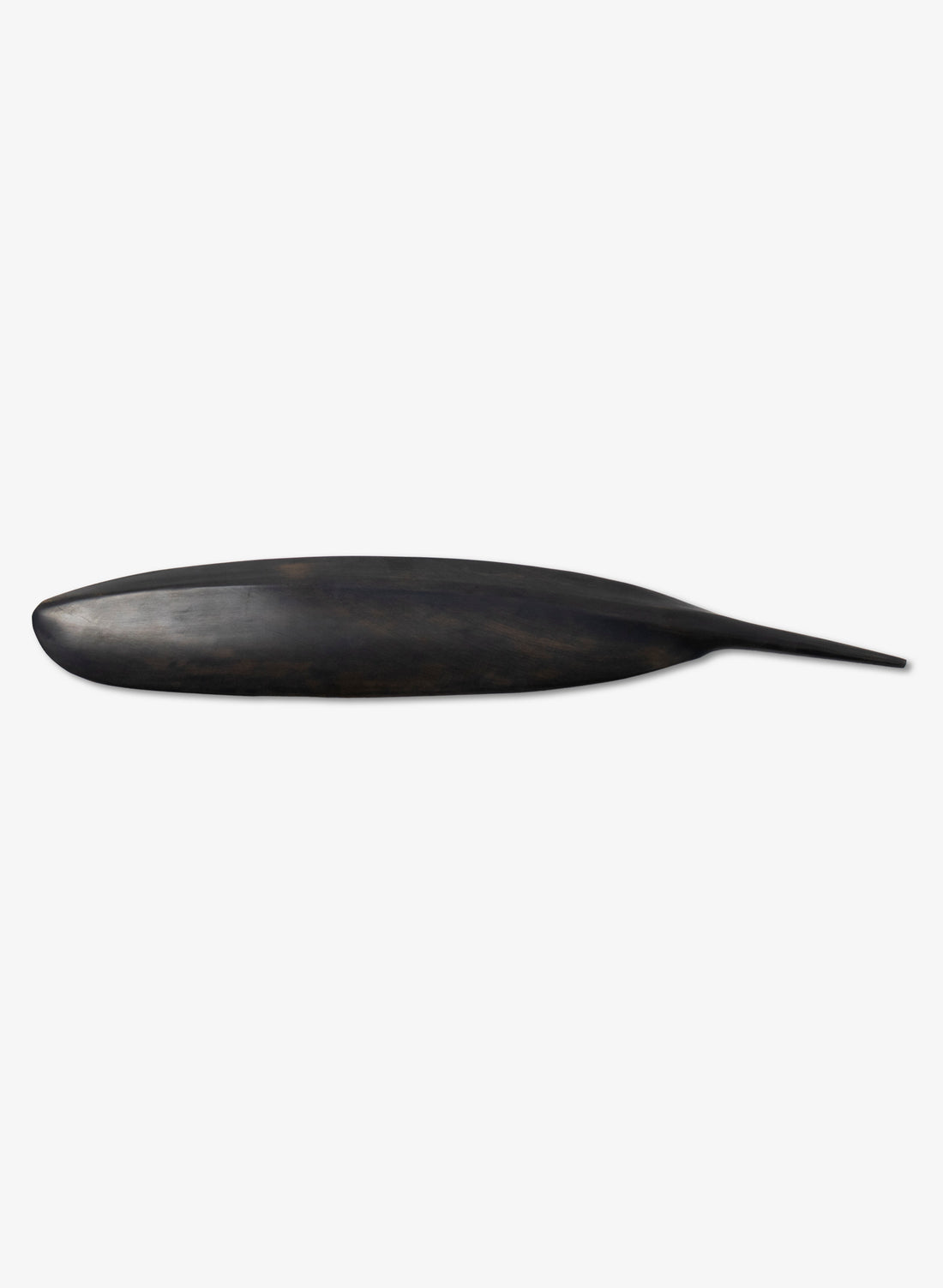 Tūī Swamp Kauri Feather 515mm