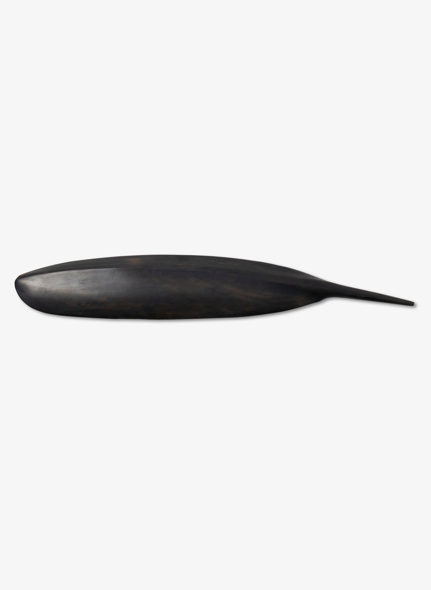 Tūī Swamp Kauri Feather 515mm