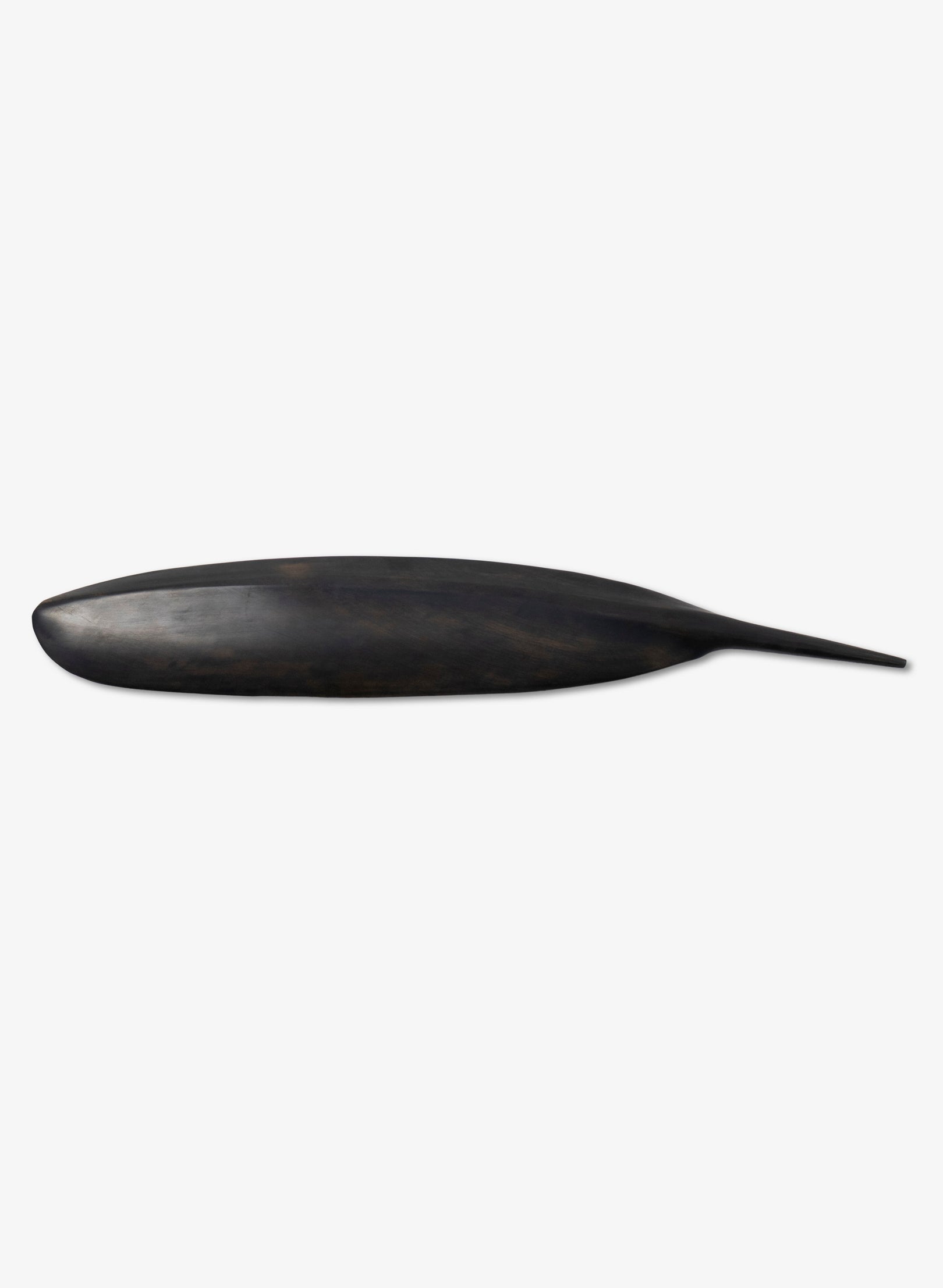 Tūī Swamp Kauri Feather 515mm