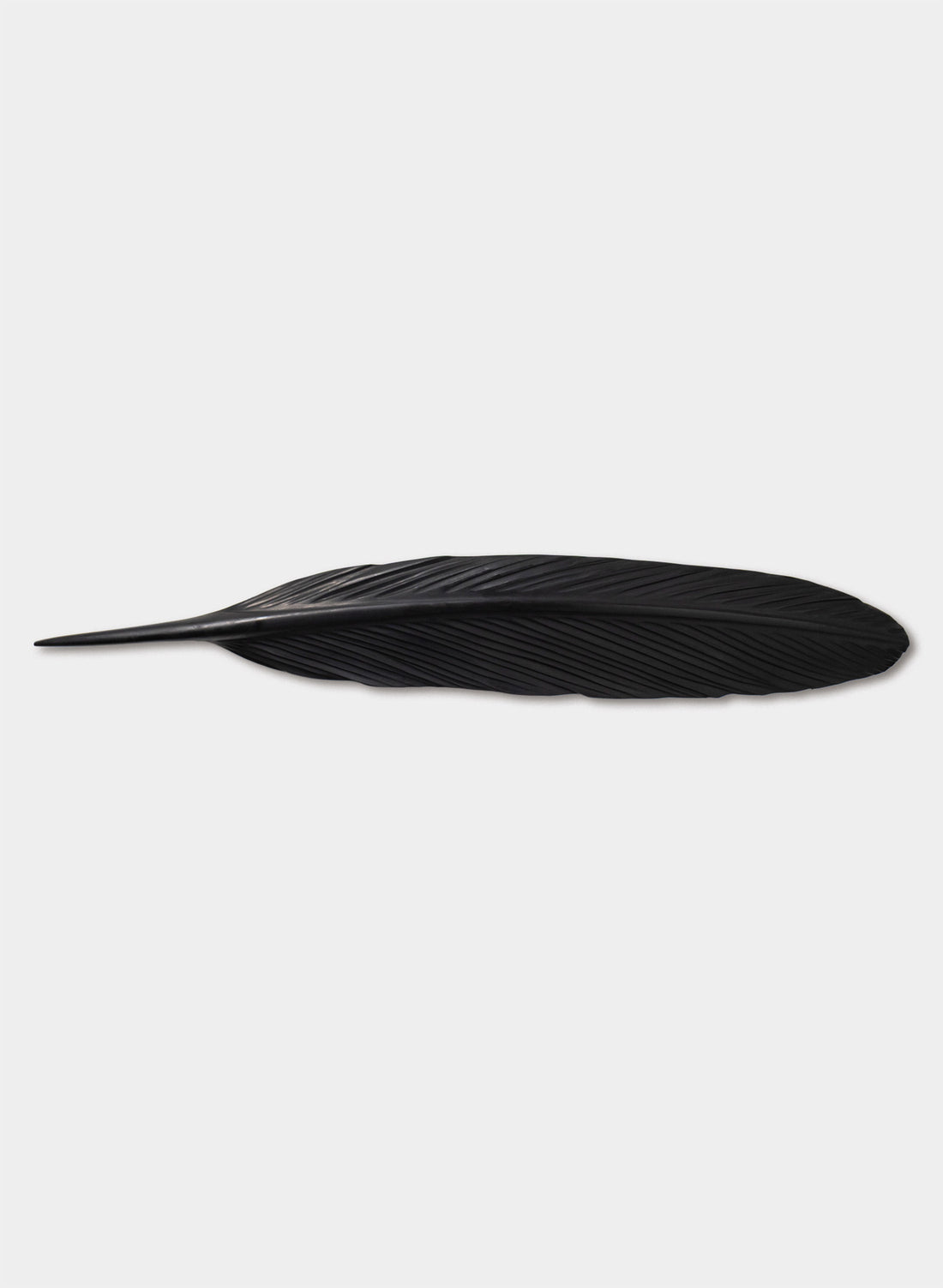 Tūī Swamp Kauri Feather 1160mm