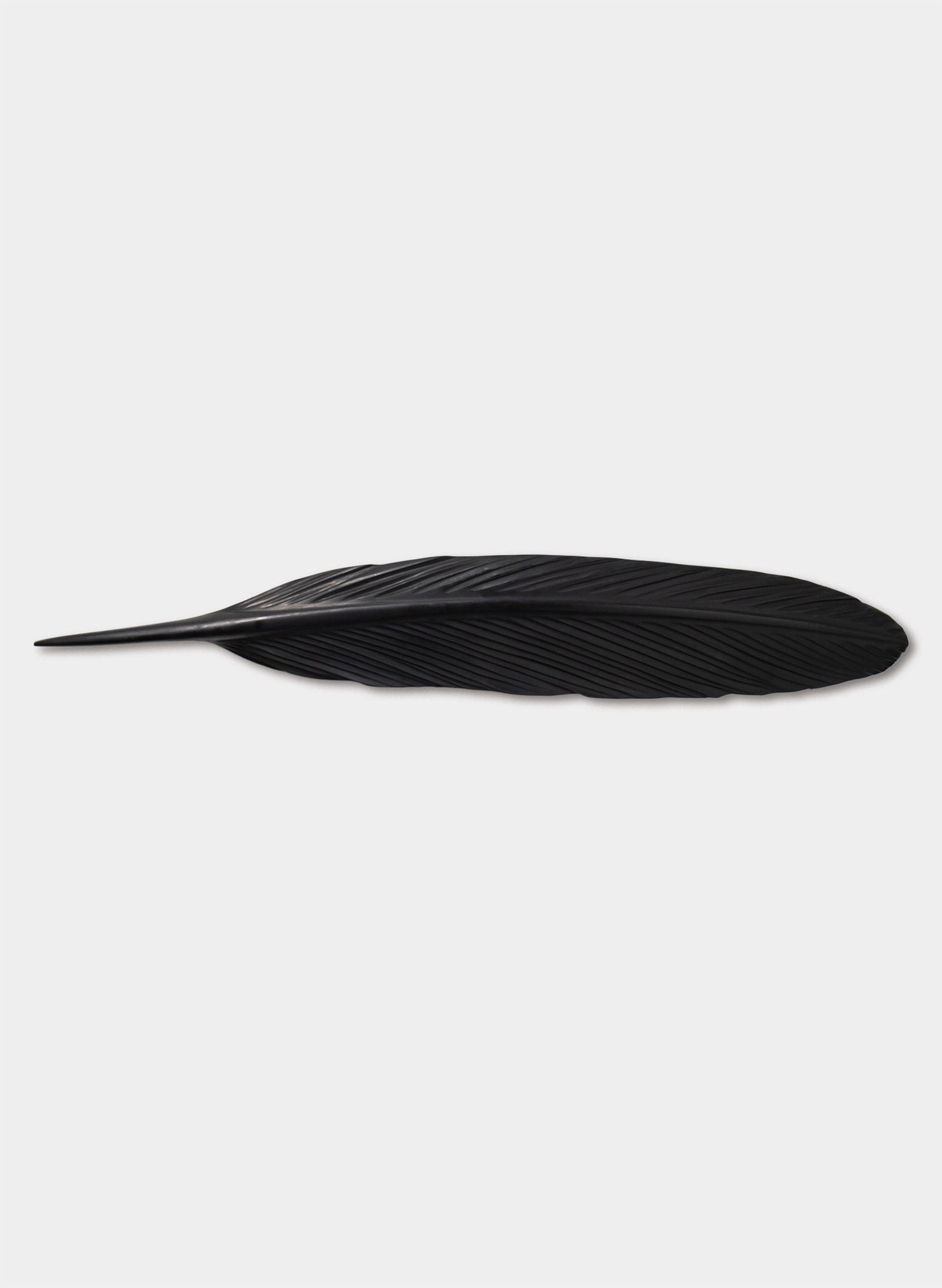 Tūī Swamp Kauri Feather 1160mm