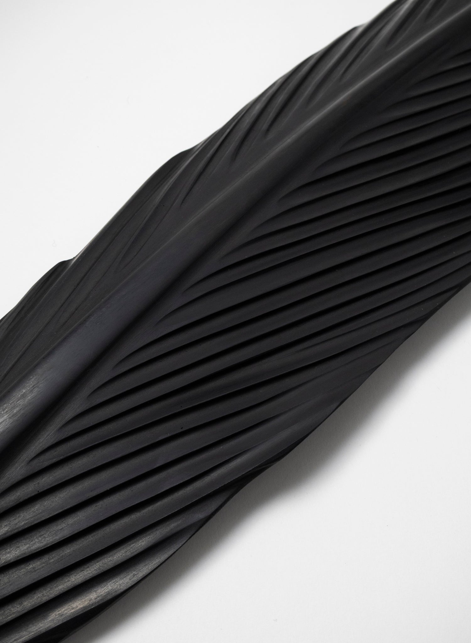 Tūī Swamp Kauri Feather 1160mm