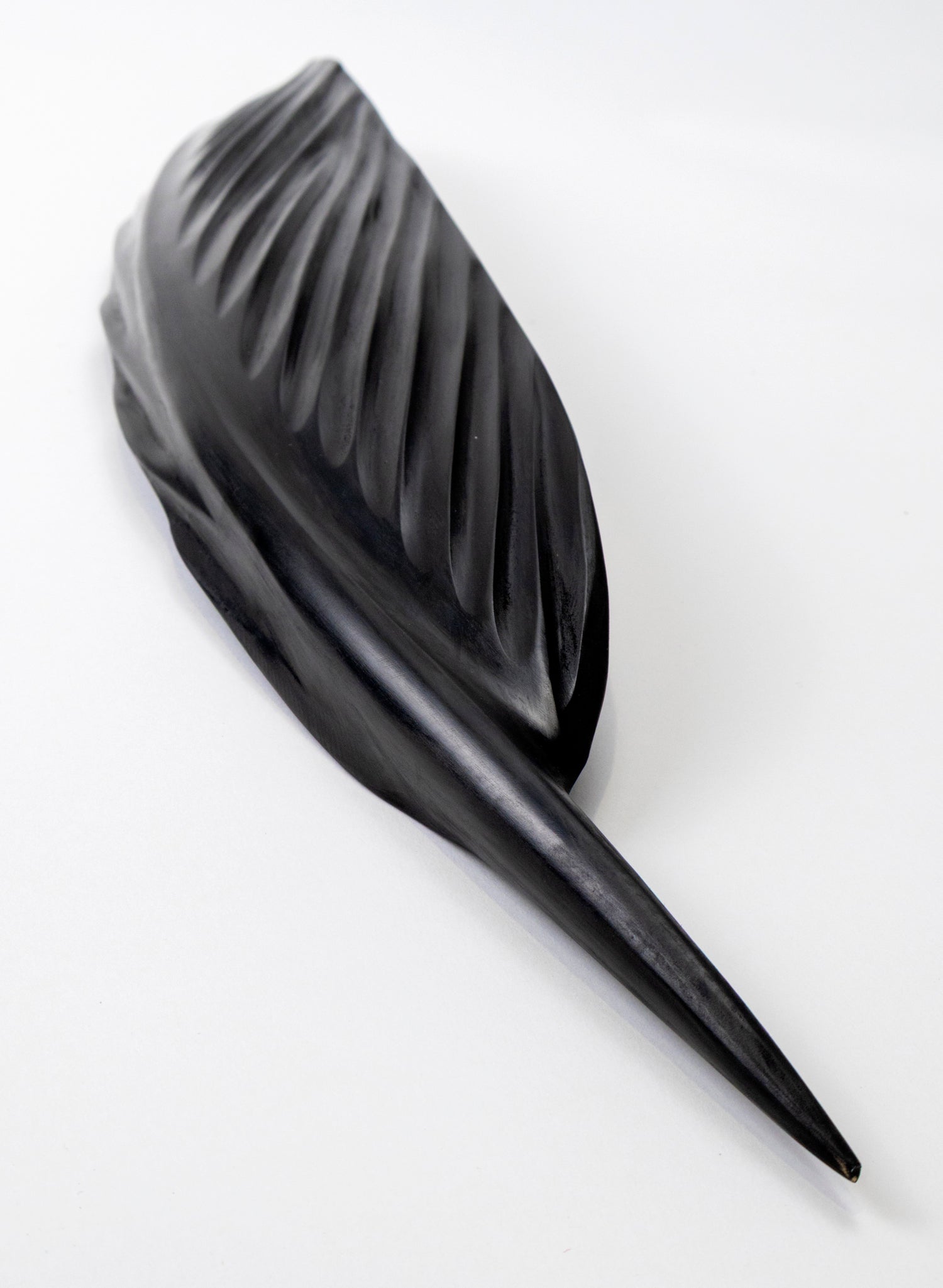 Tūī Swamp Kauri Feather 687mm