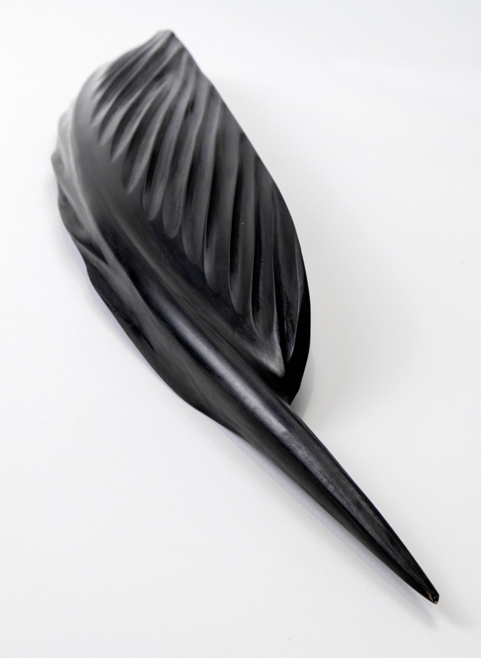 Tūī Swamp Kauri Feather 687mm