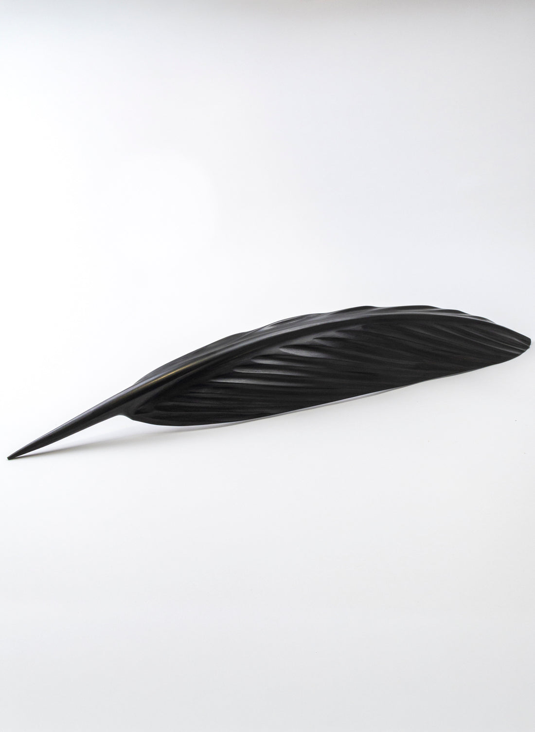 Tūī Swamp Kauri Feather 687mm