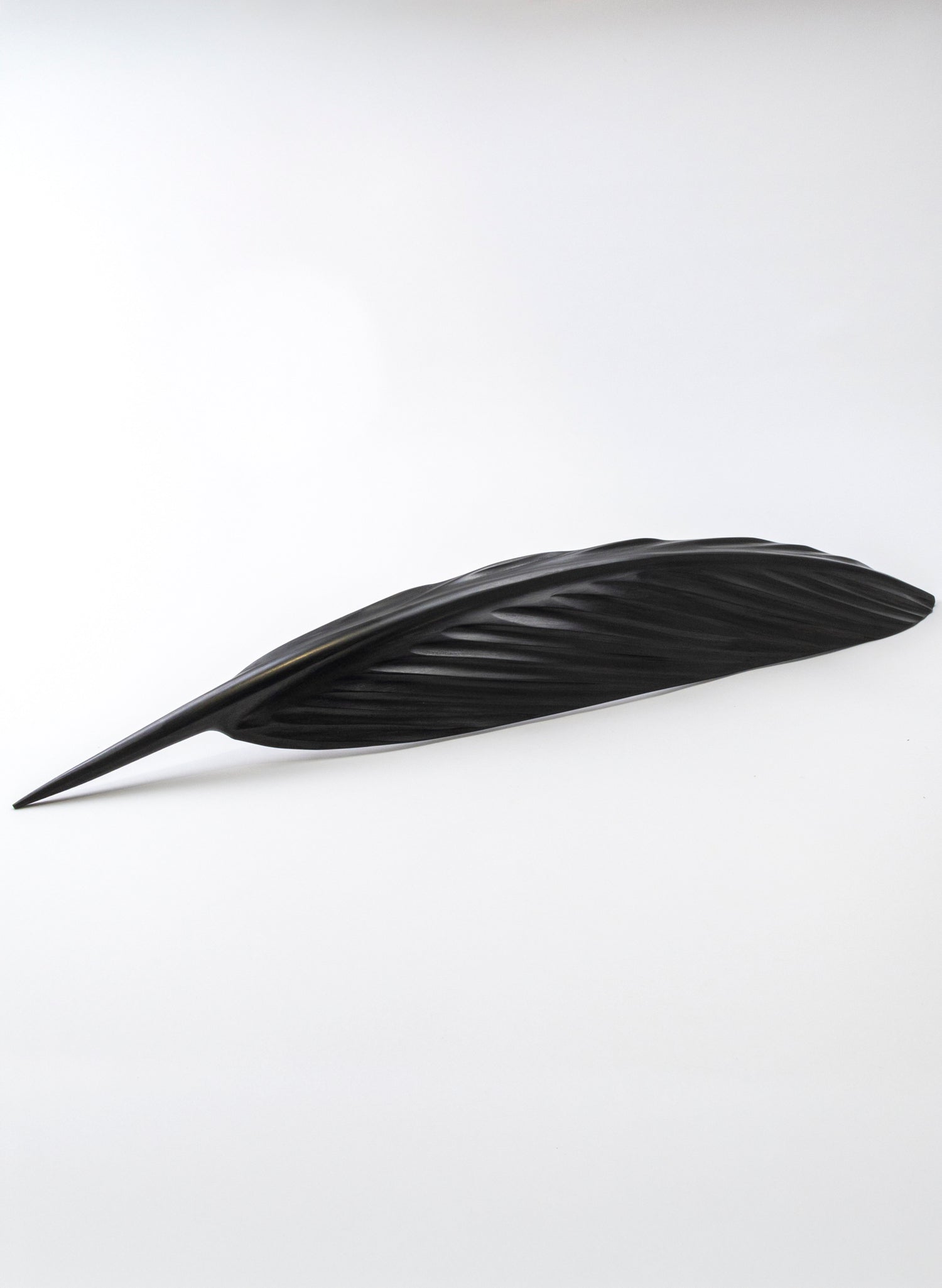 Tūī Swamp Kauri Feather 687mm