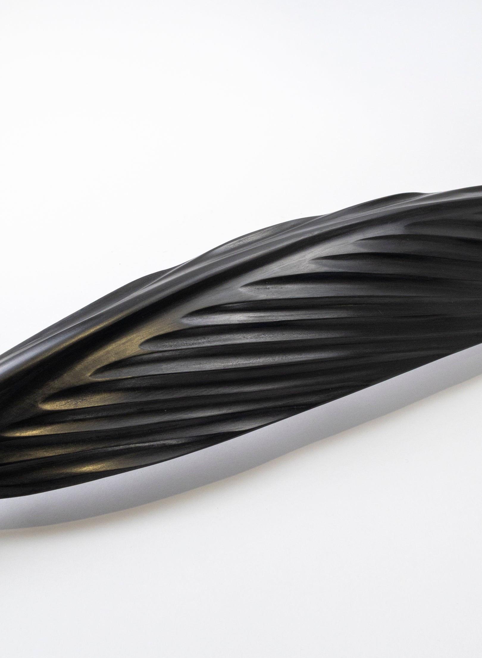 Tūī Swamp Kauri Feather 687mm