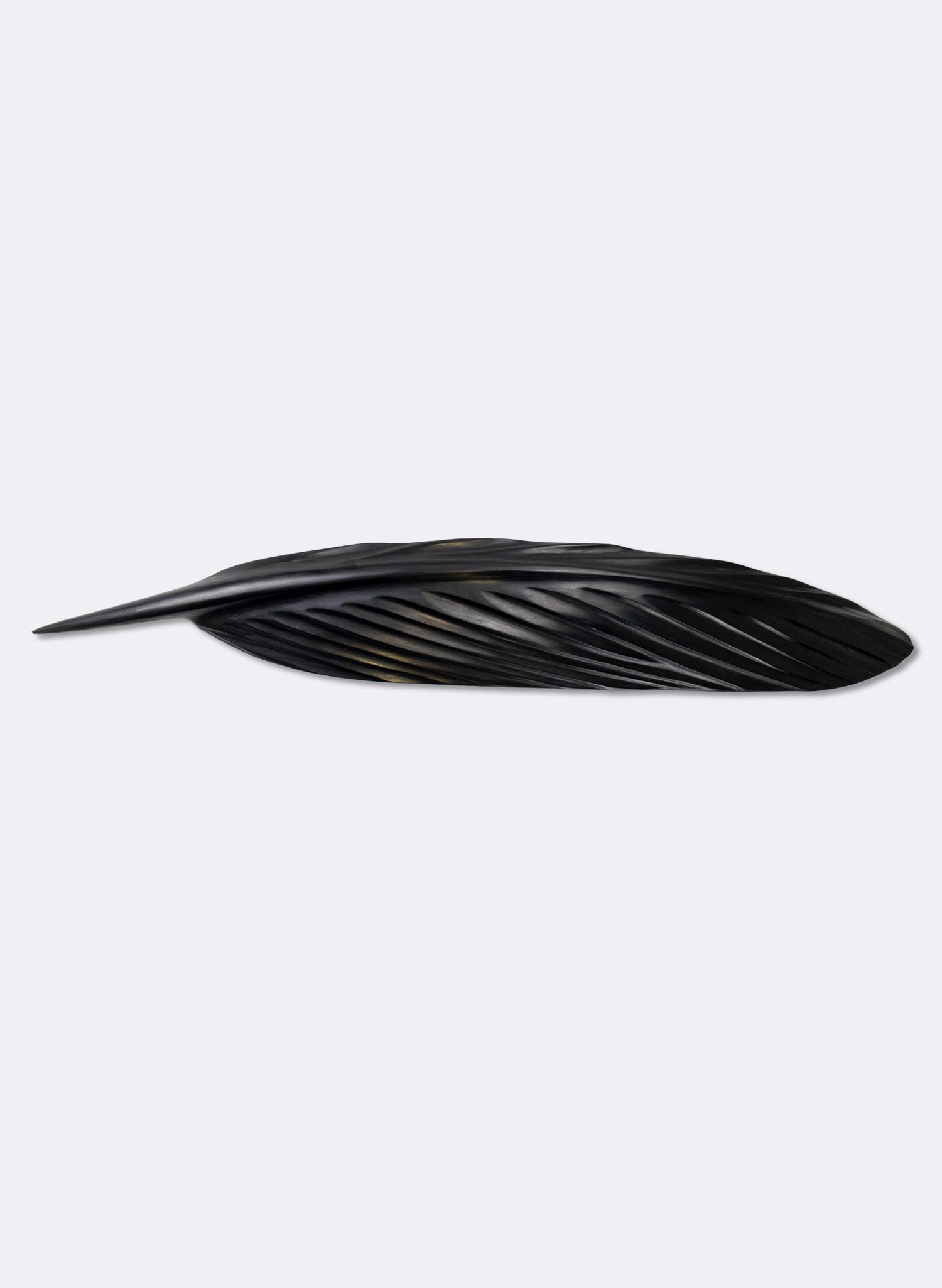 Tūī Swamp Kauri Feather 687mm