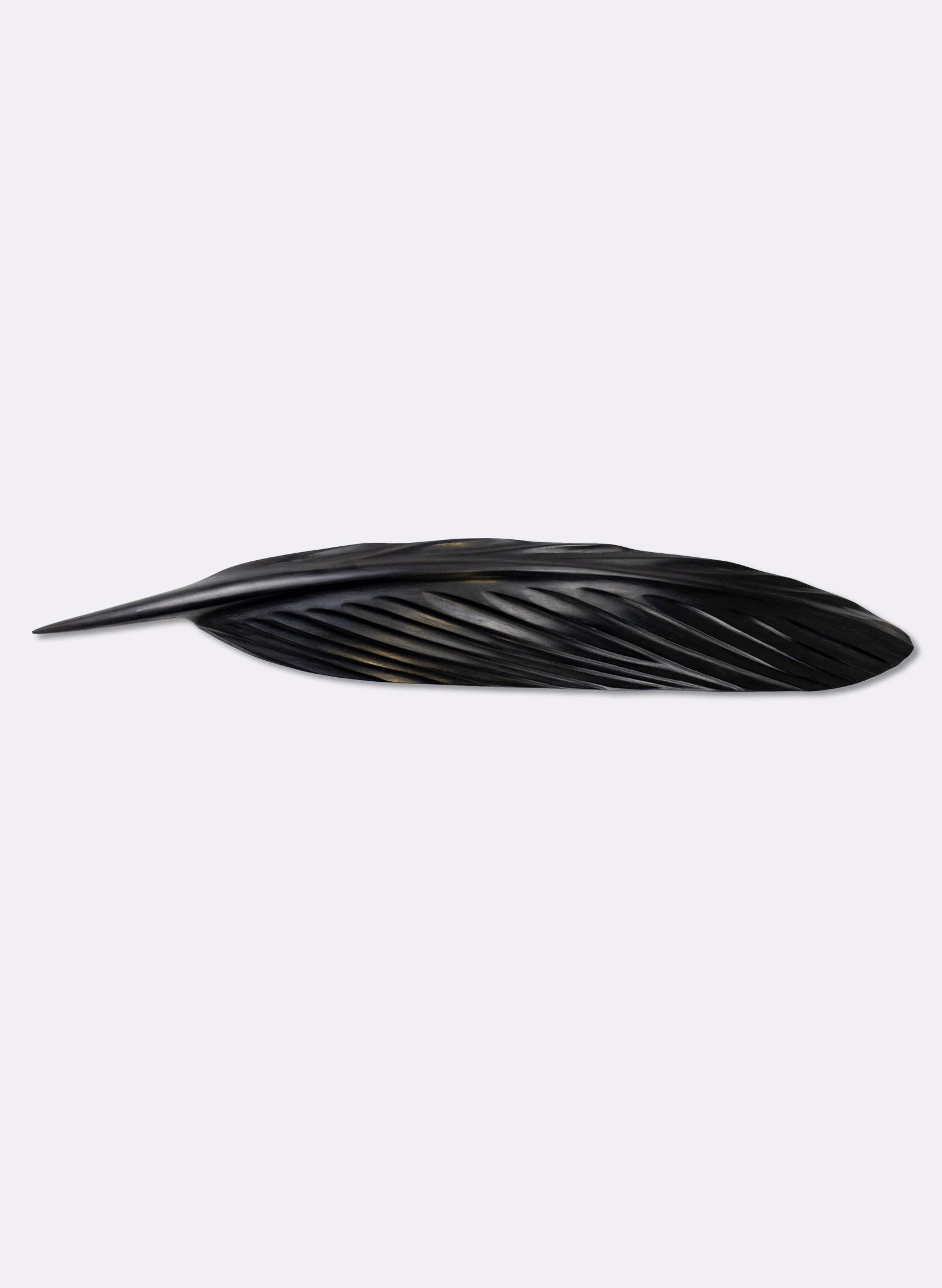 Tūī Swamp Kauri Feather 687mm