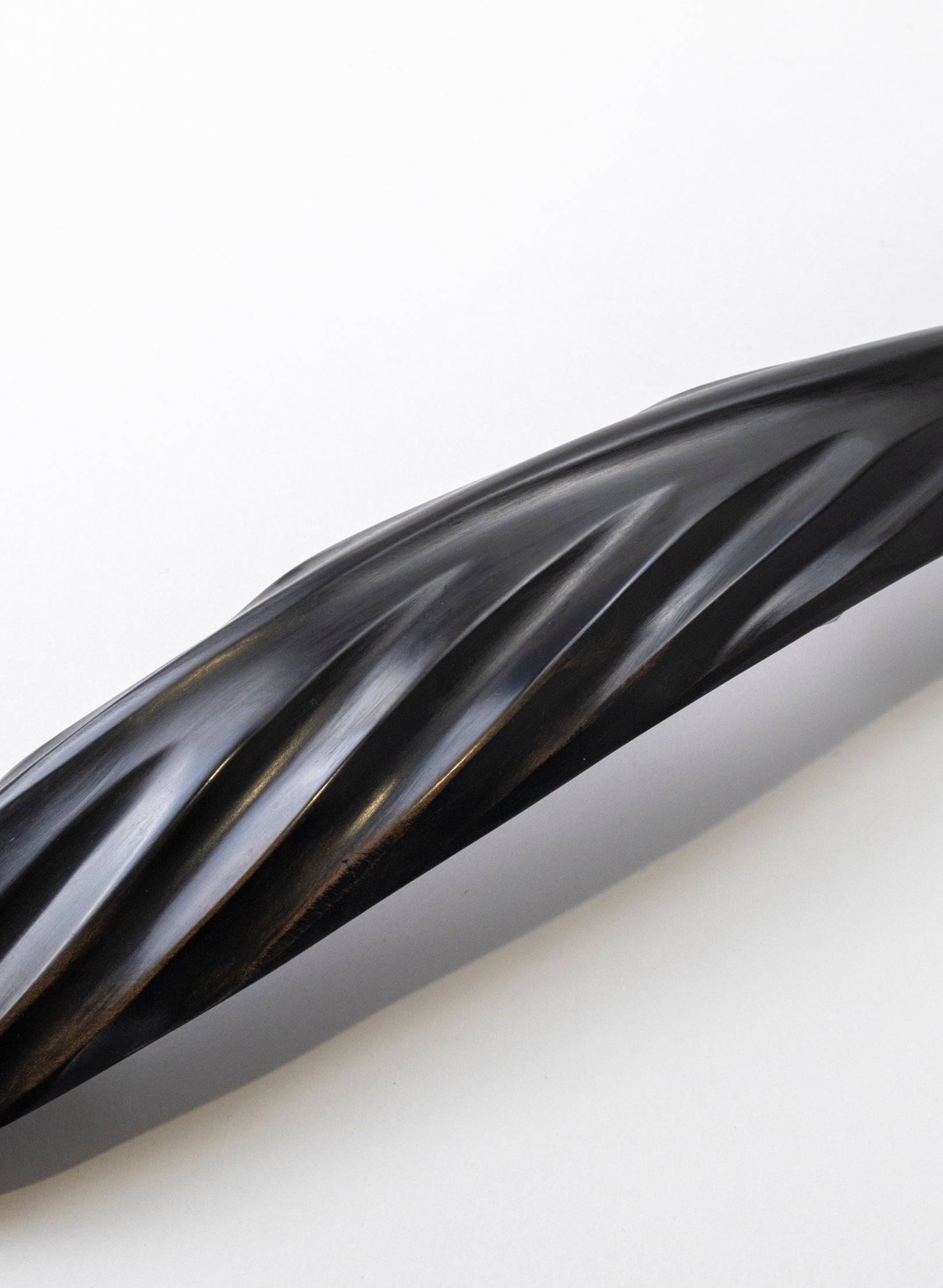 Tūī Swamp Kauri Feather 525mm