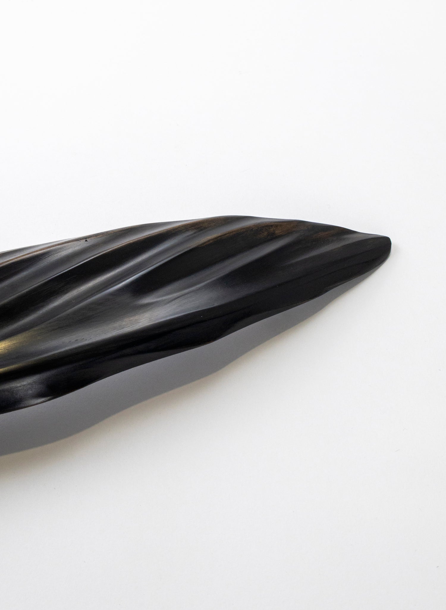 Tūī Swamp Kauri Feather 525mm