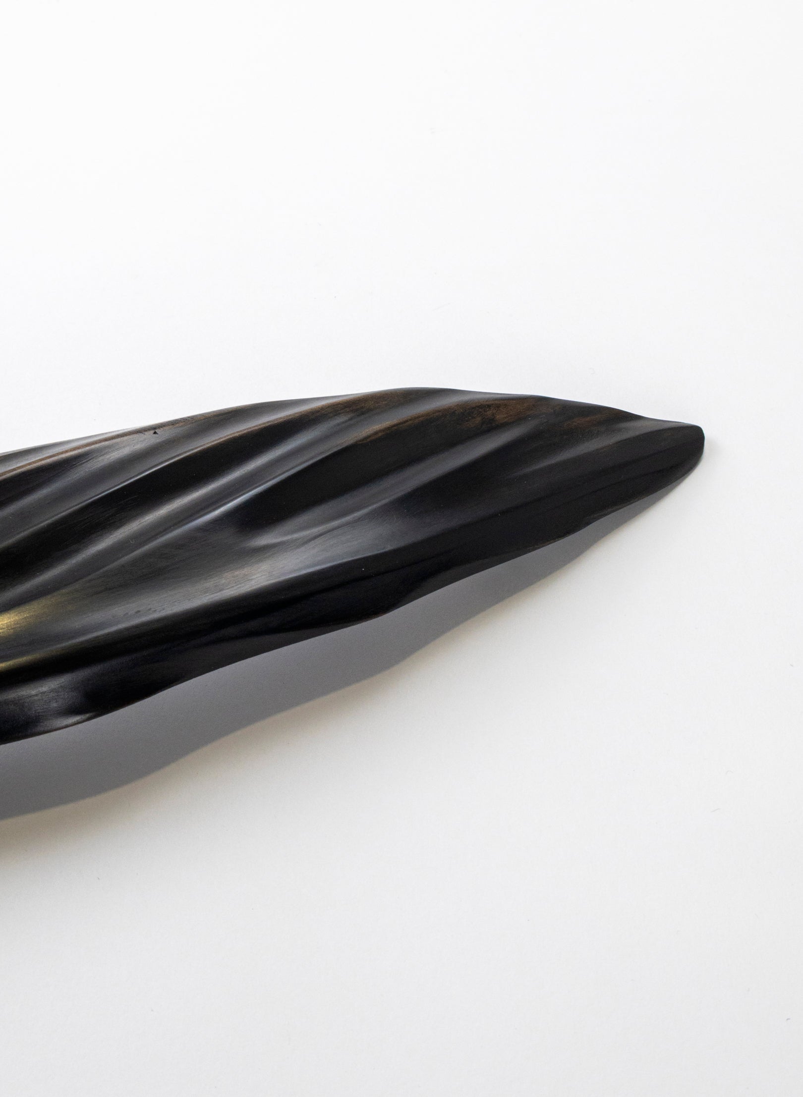 Tūī Swamp Kauri Feather 525mm