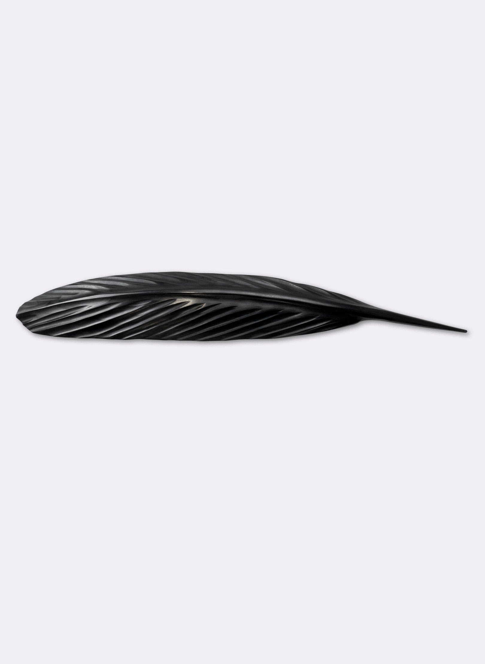 Tūī Swamp Kauri Feather 525mm
