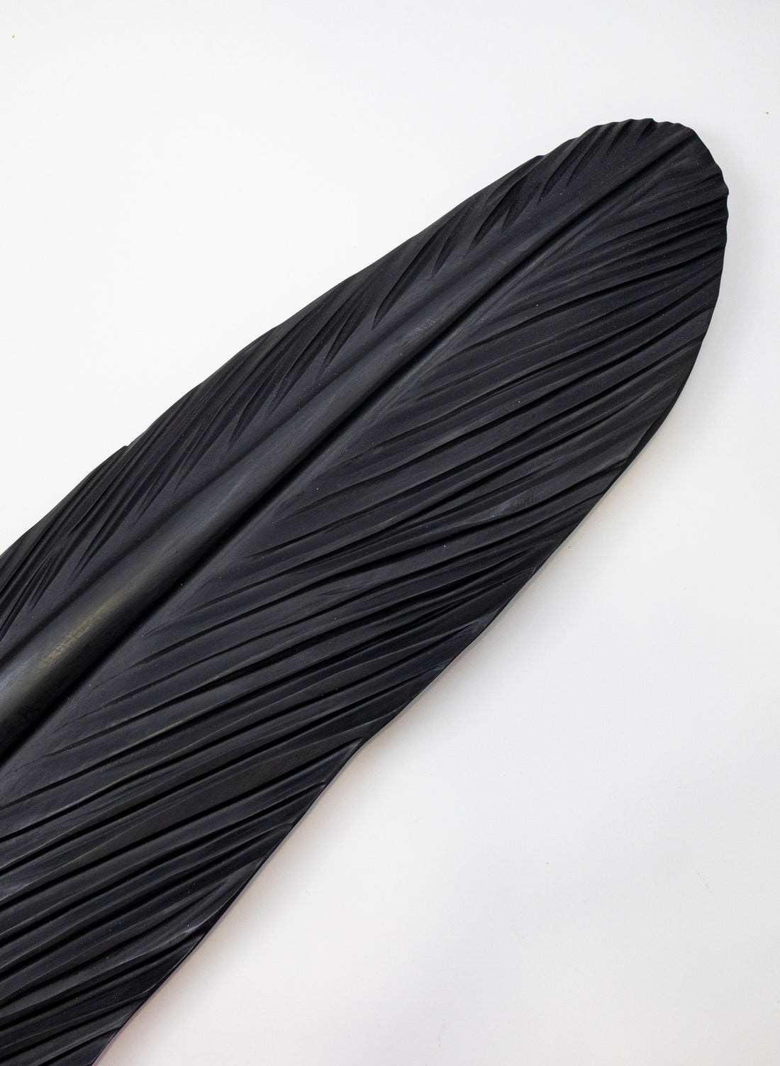 Tūī Swamp Kauri Feather 2140mm