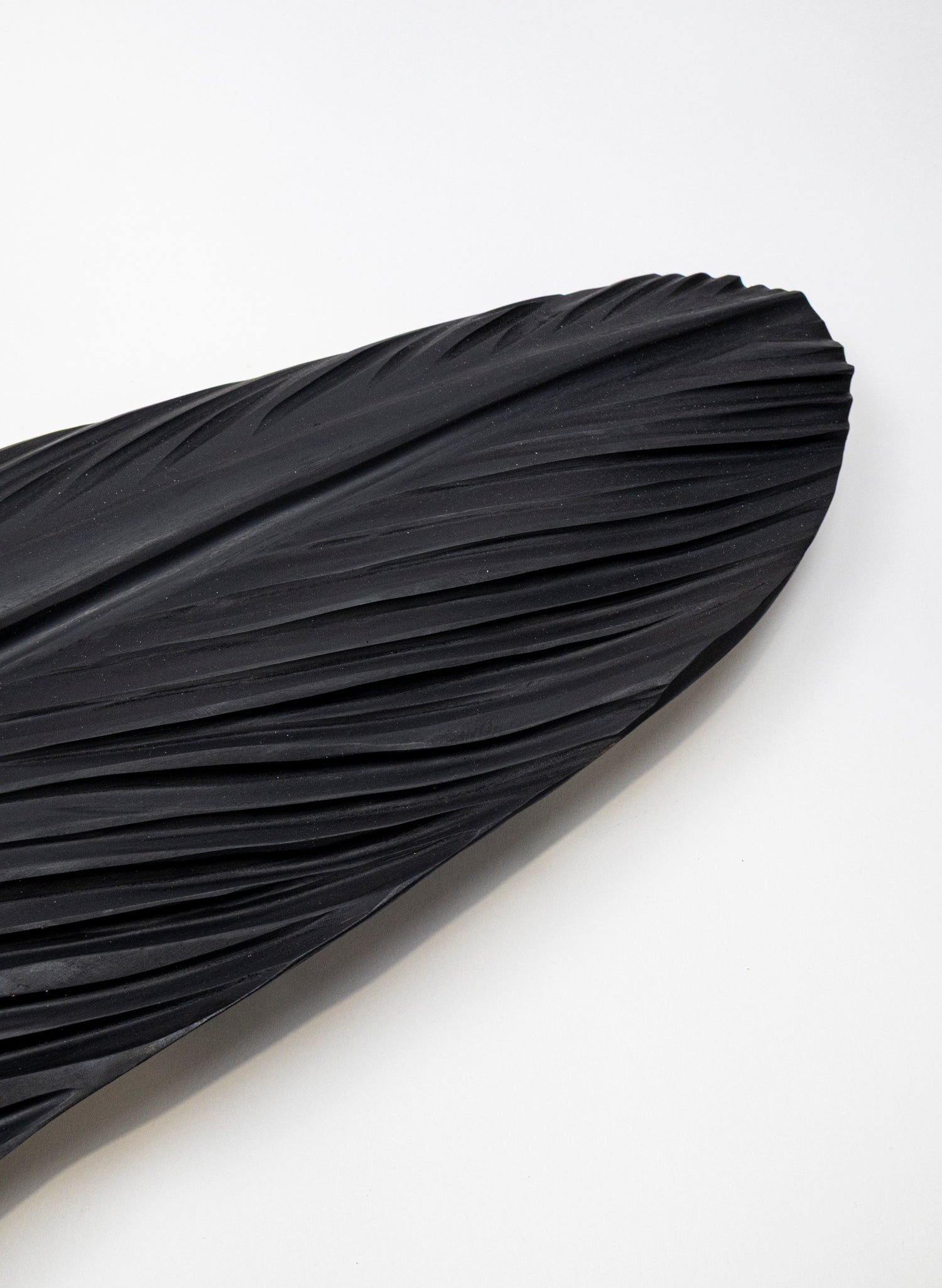 Tūī Swamp Kauri Feather 2140mm