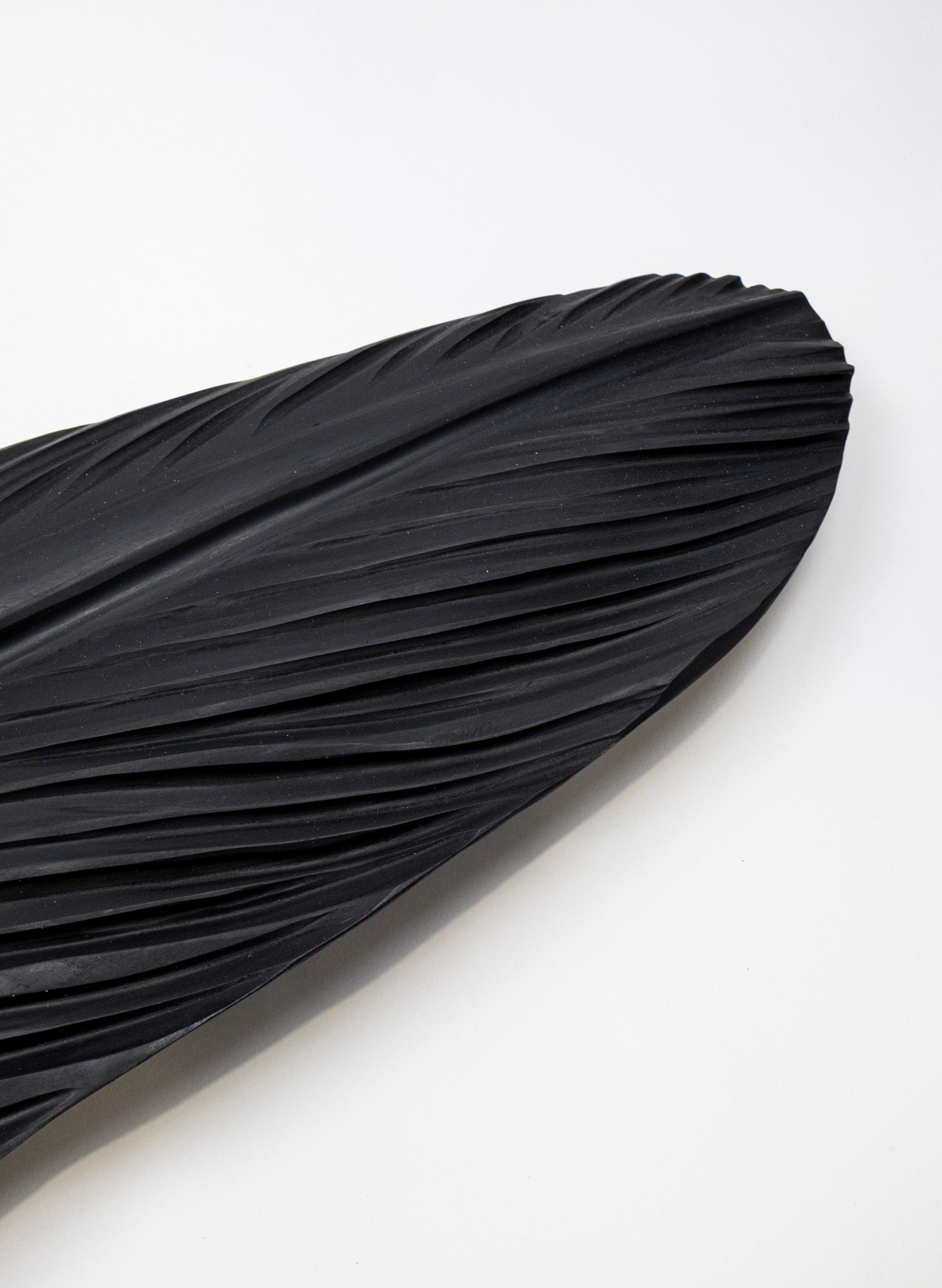 Tūī Swamp Kauri Feather 2140mm